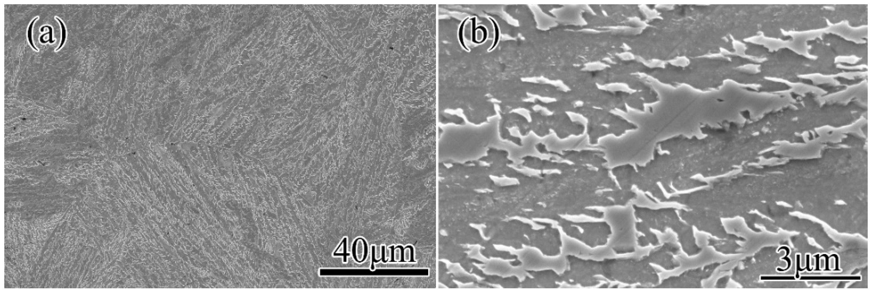 Materials 11 01862 g001