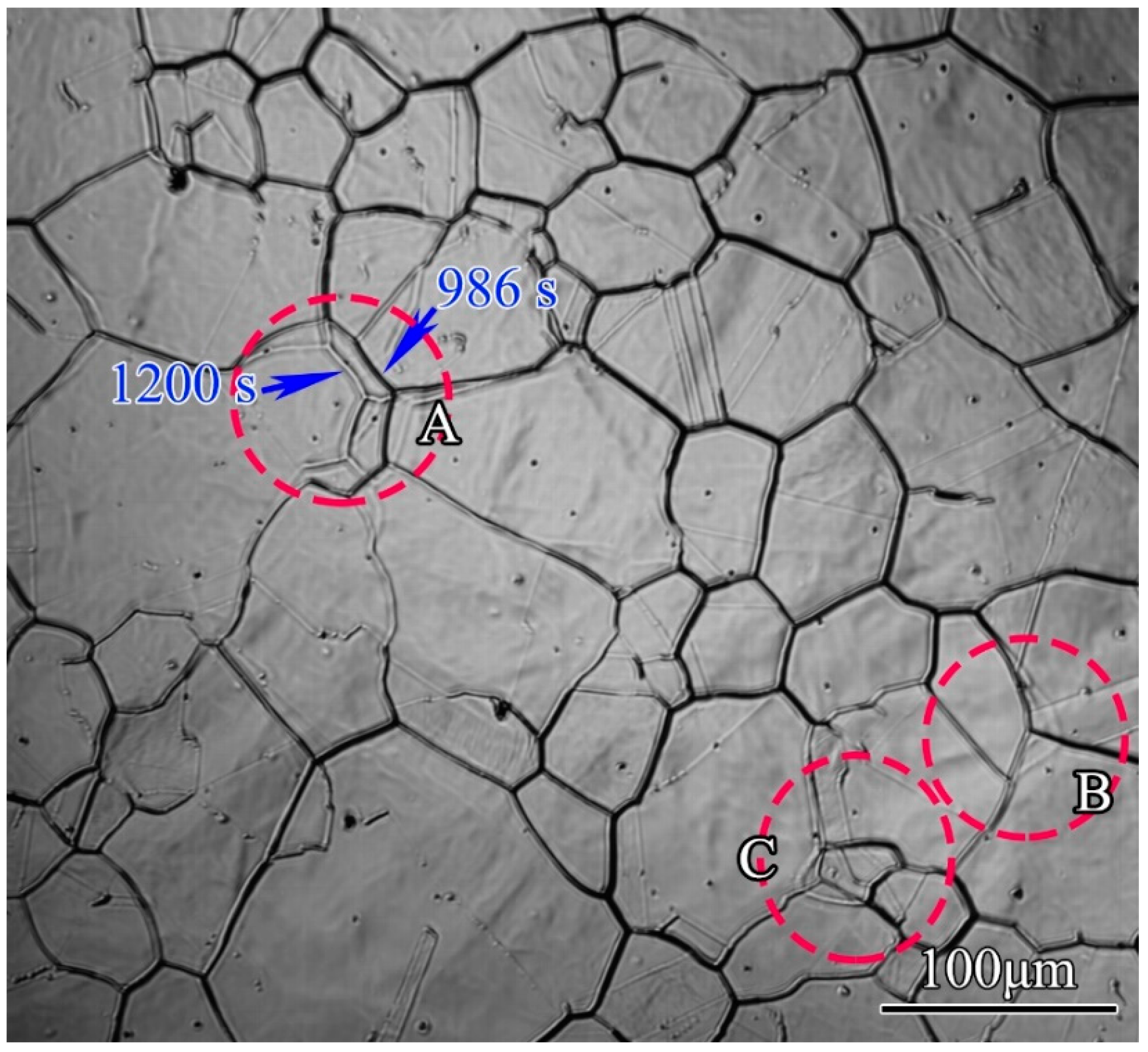 Materials 11 01862 g011