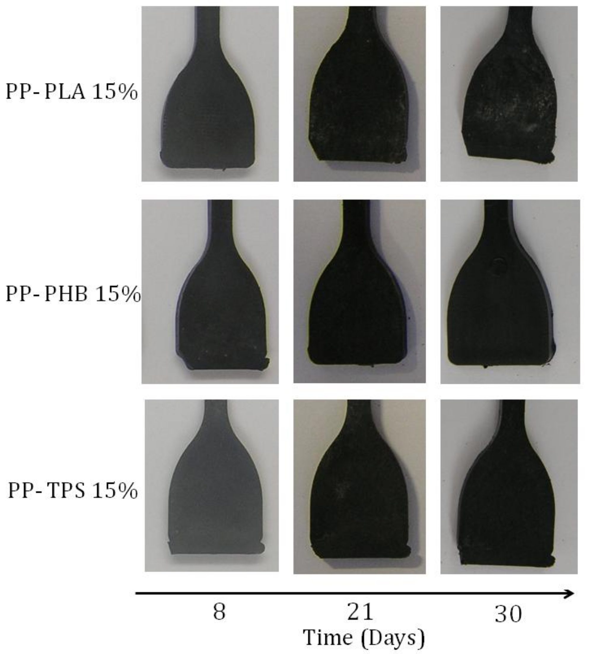 Materials 11 01886 g009