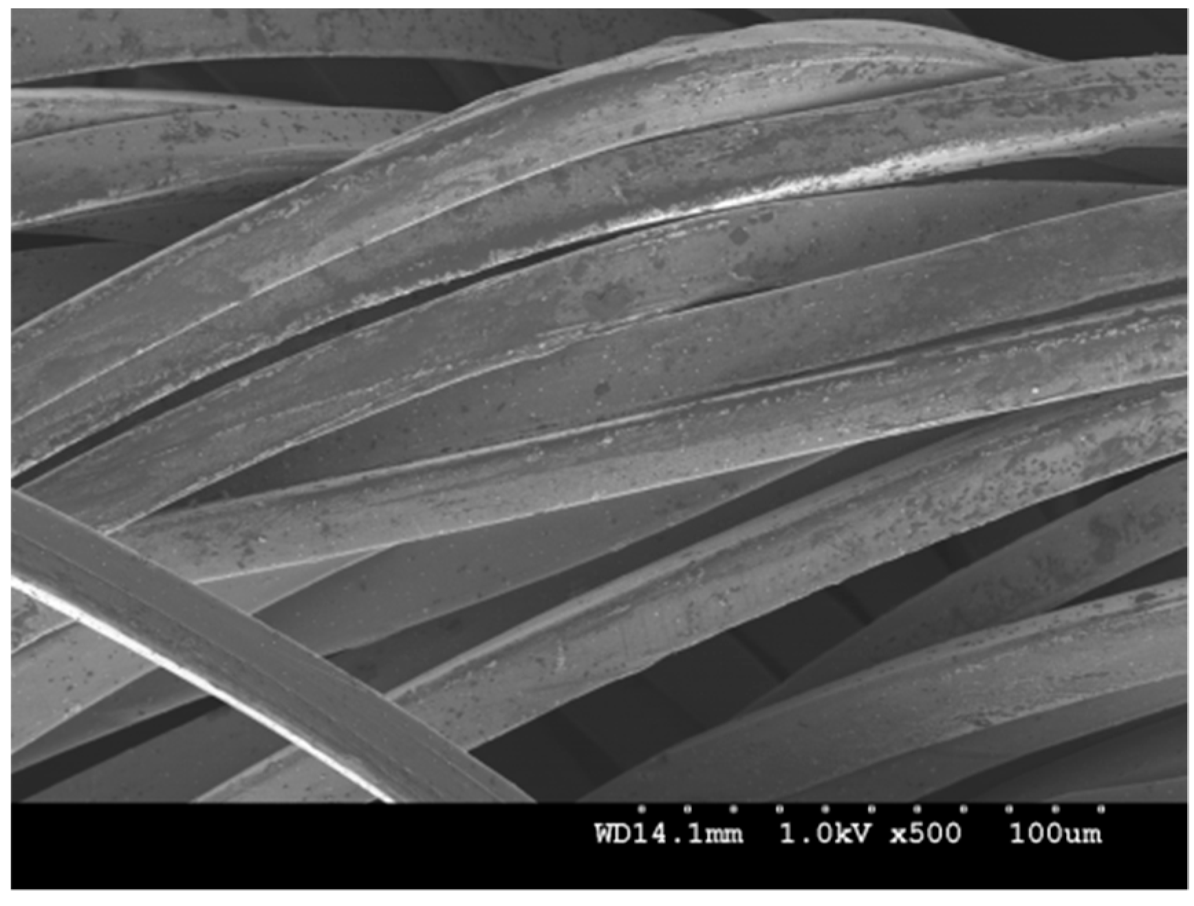 Materials 11 01887 g002