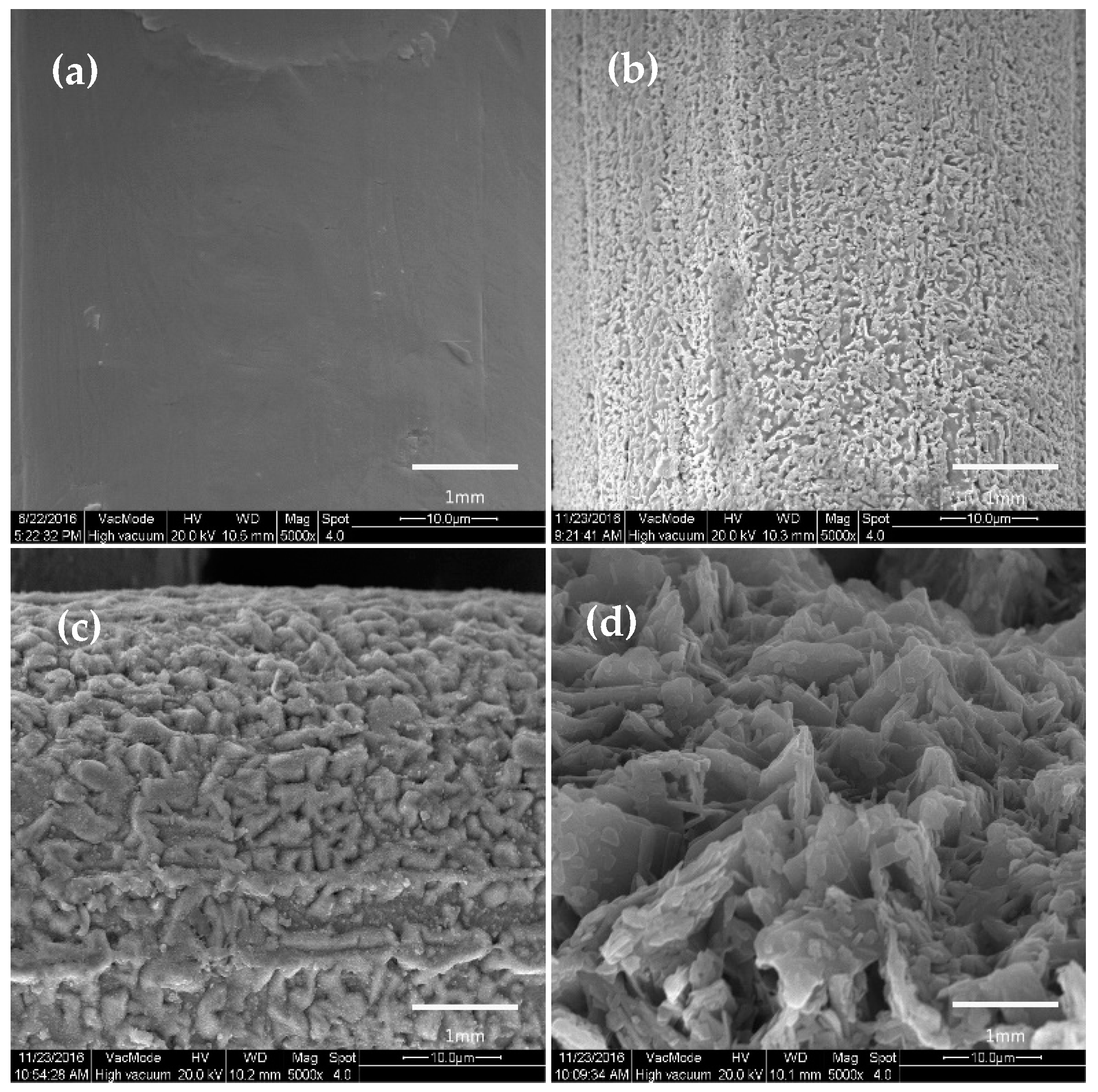 Materials 11 01914 g005