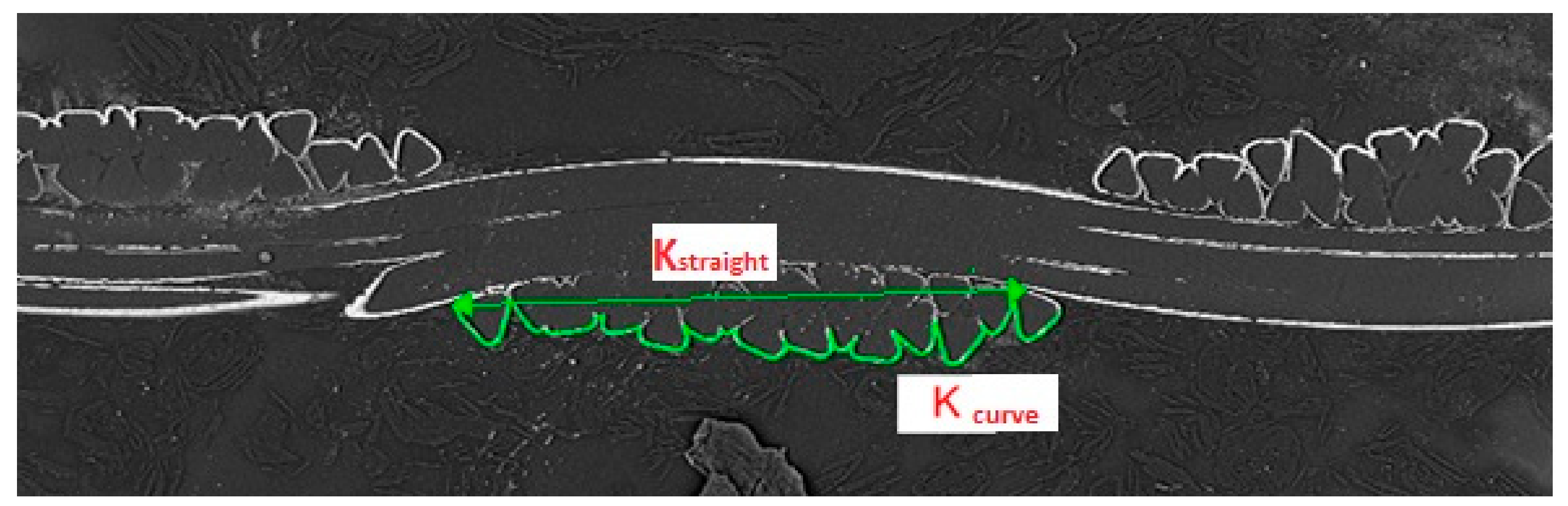 Materials 11 01931 g002
