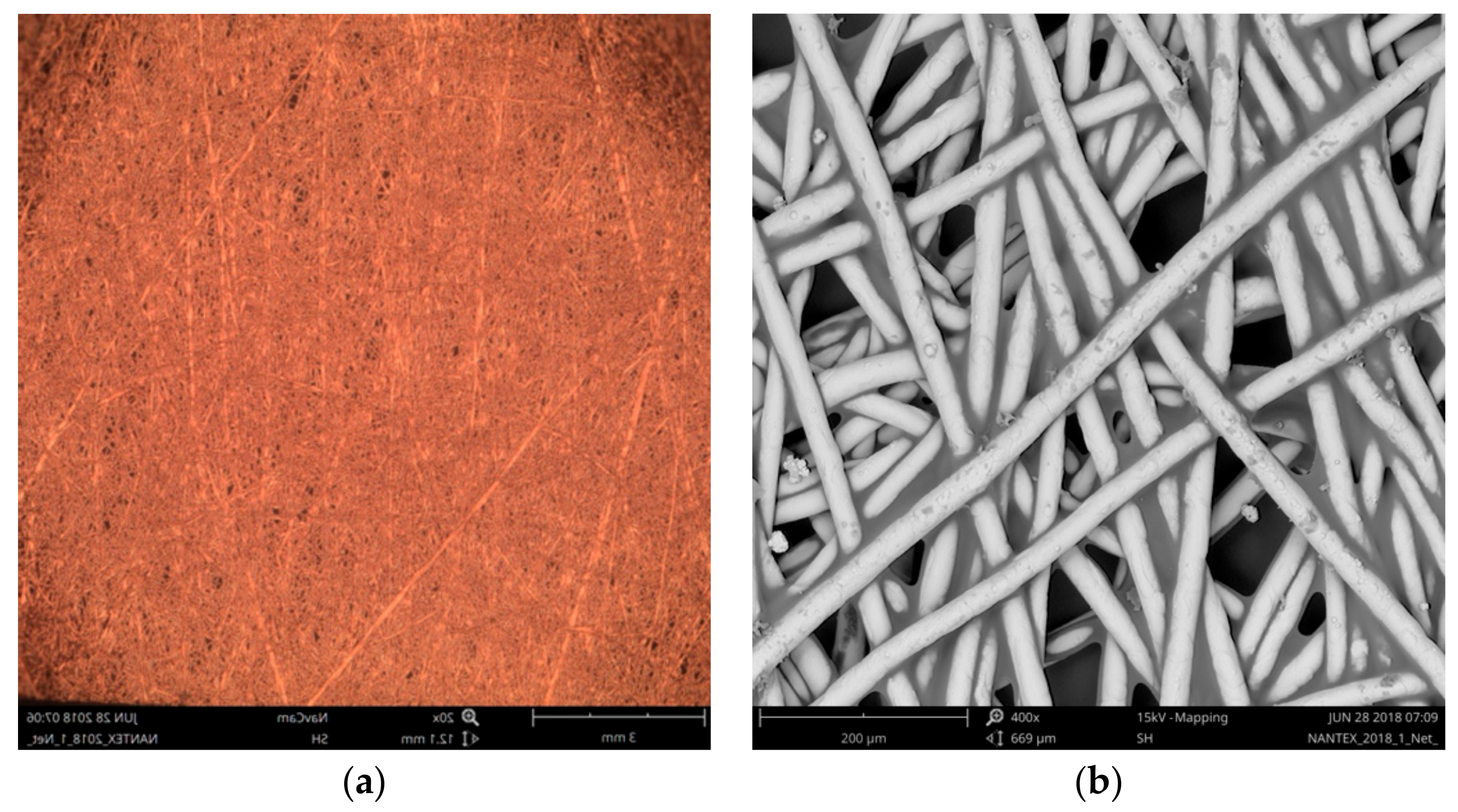 Materials 11 01931 g007