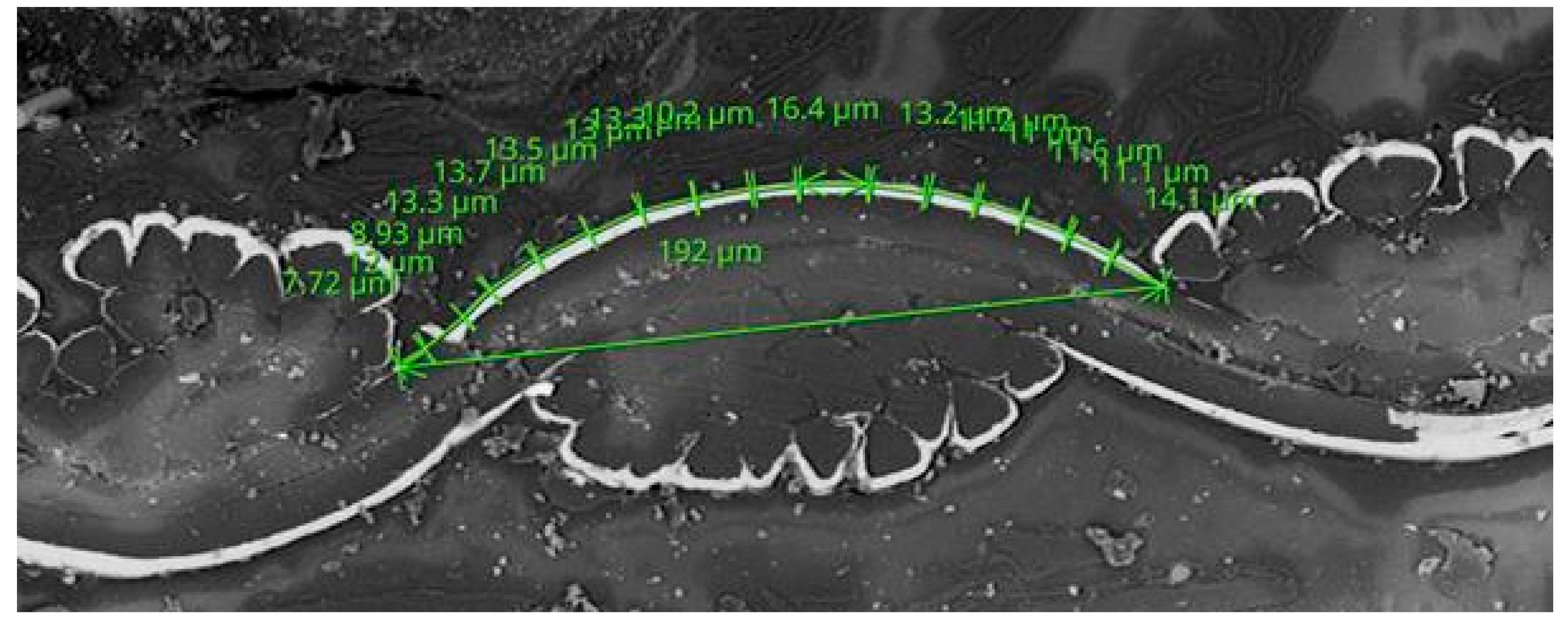 Materials 11 01931 g010