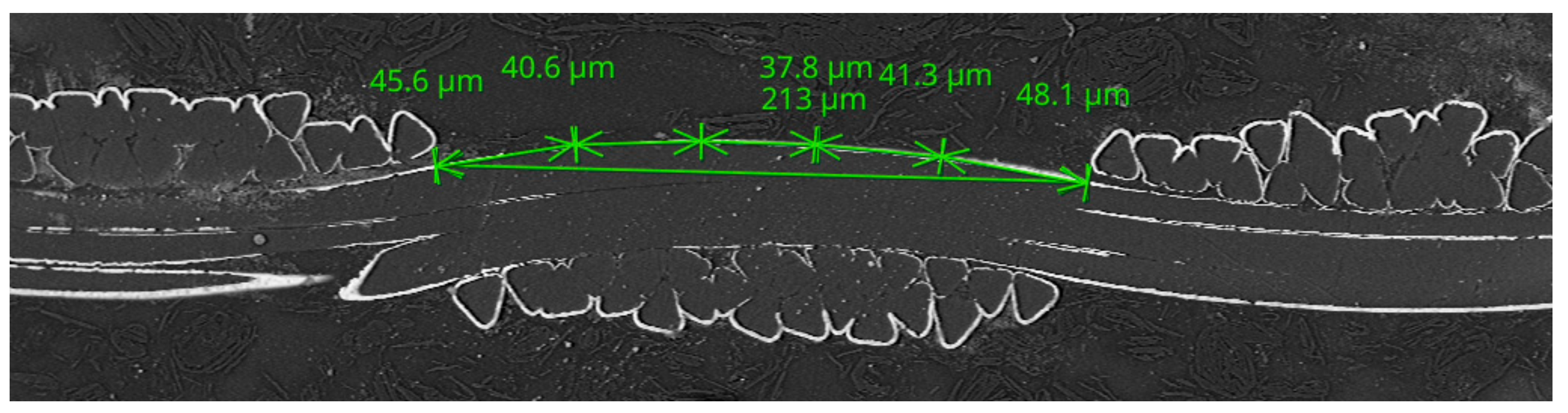 Materials 11 01931 g013