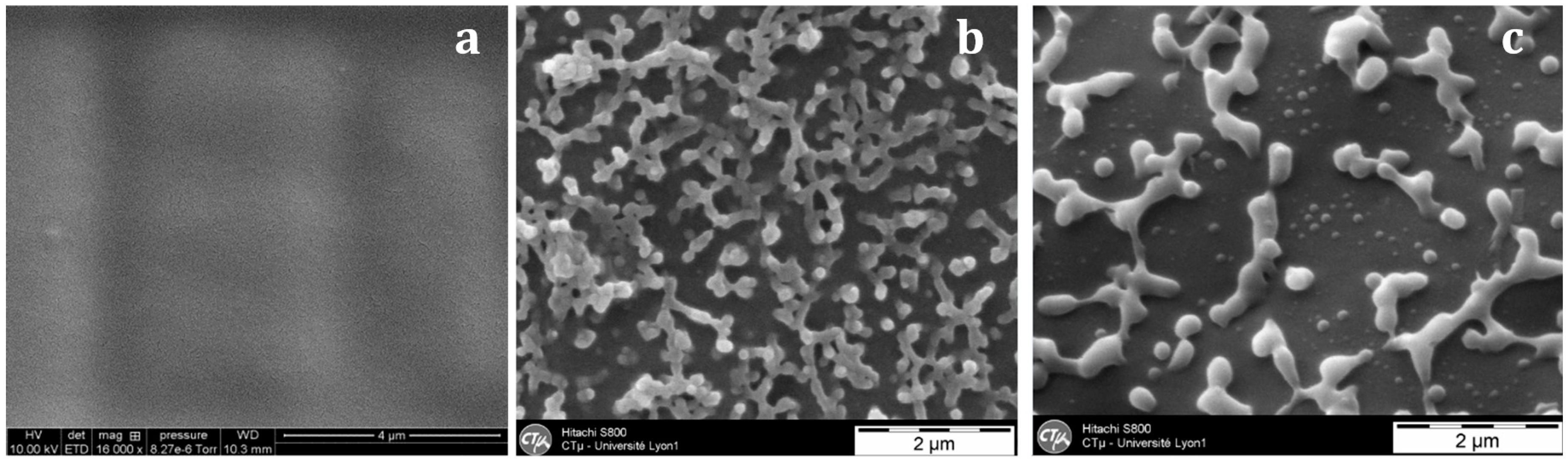 Materials 11 01960 g006