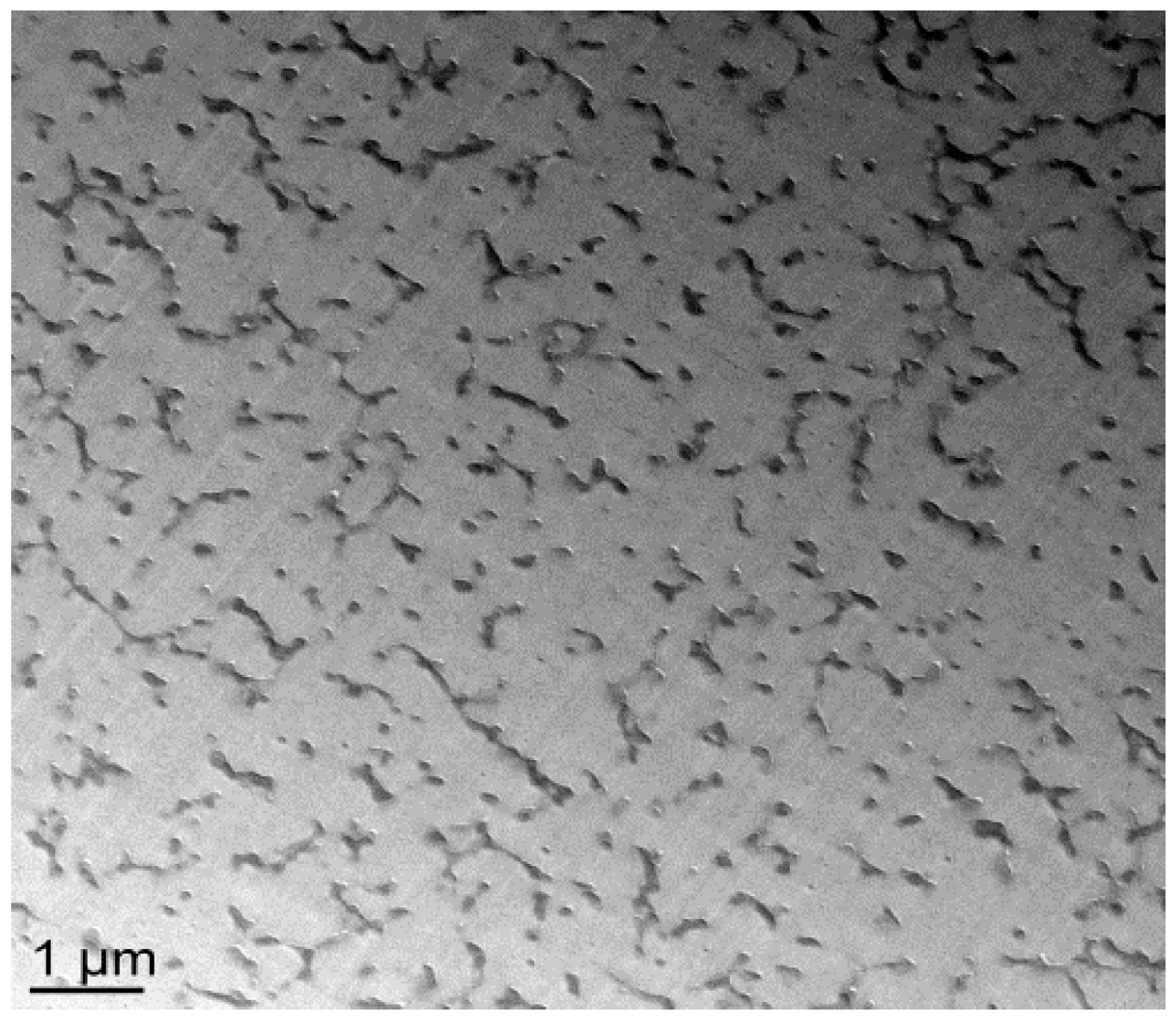 Materials 11 01960 g007