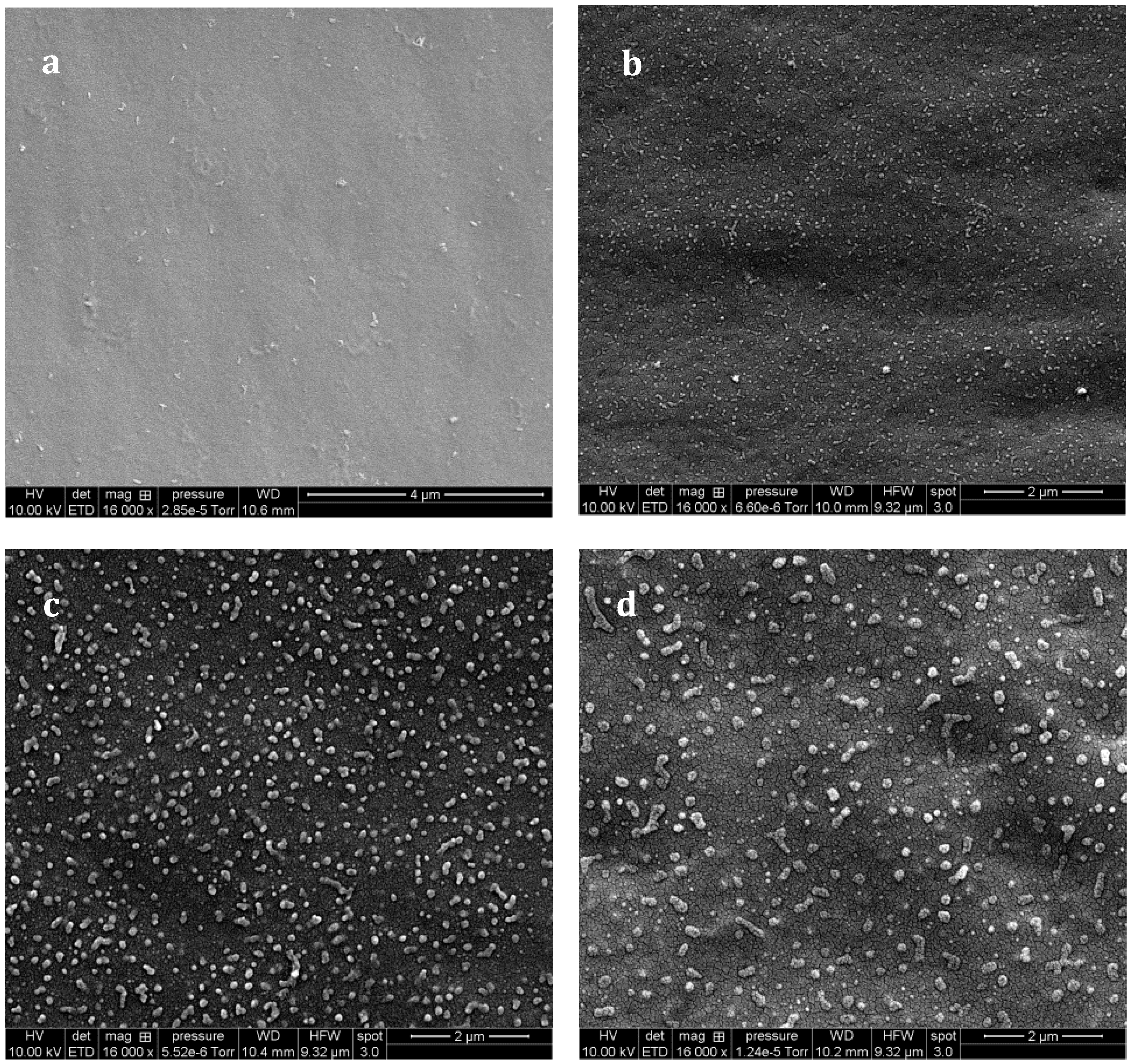Materials 11 01960 g008