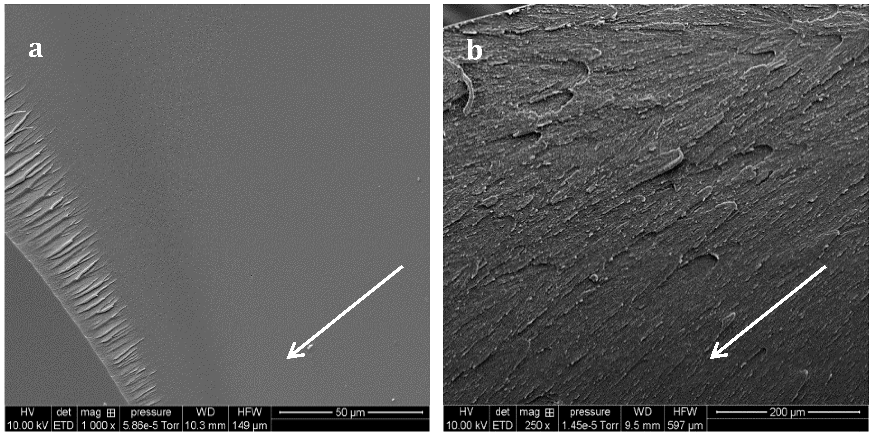 Materials 11 01960 g010