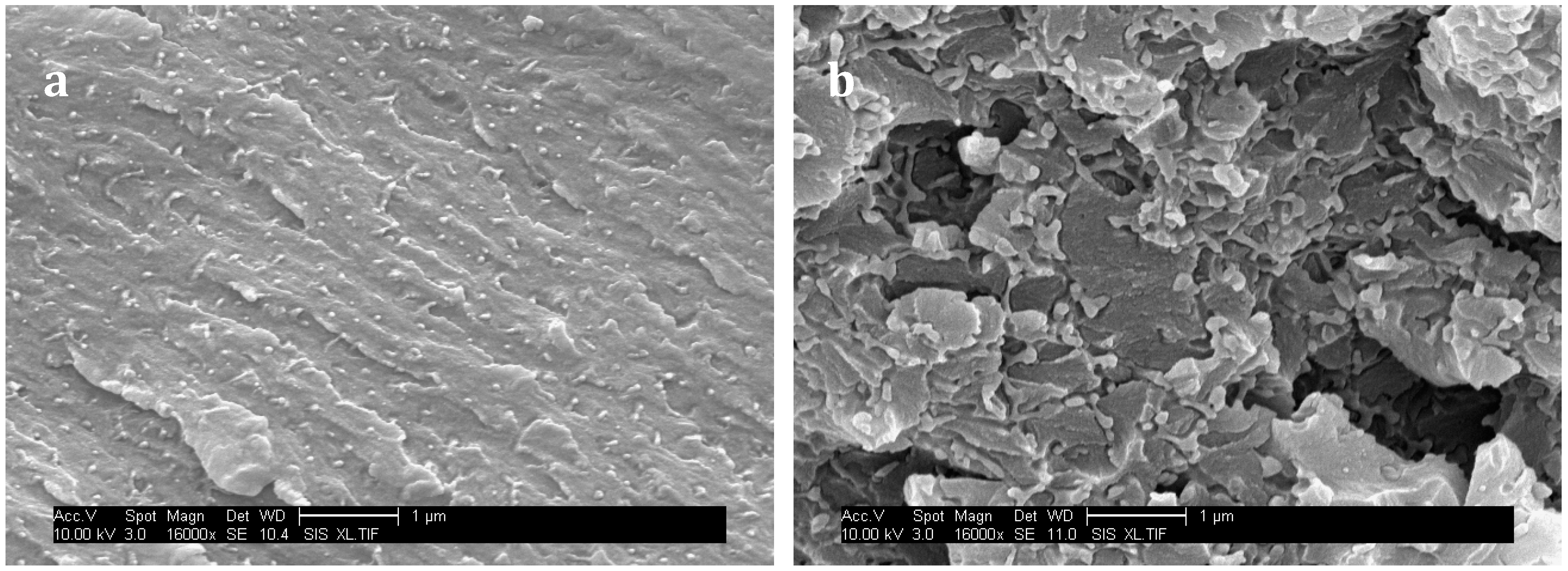 Materials 11 01960 g011