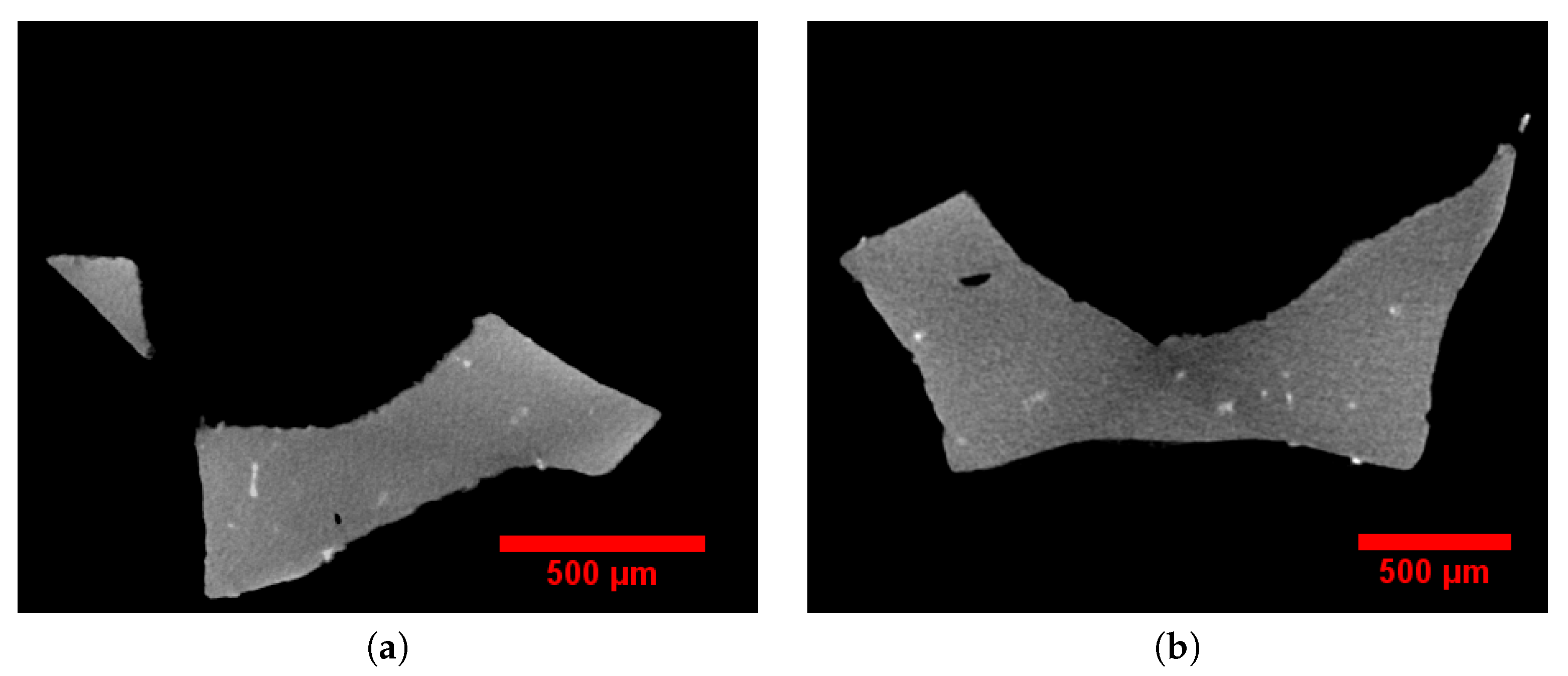 Materials 11 01984 g001