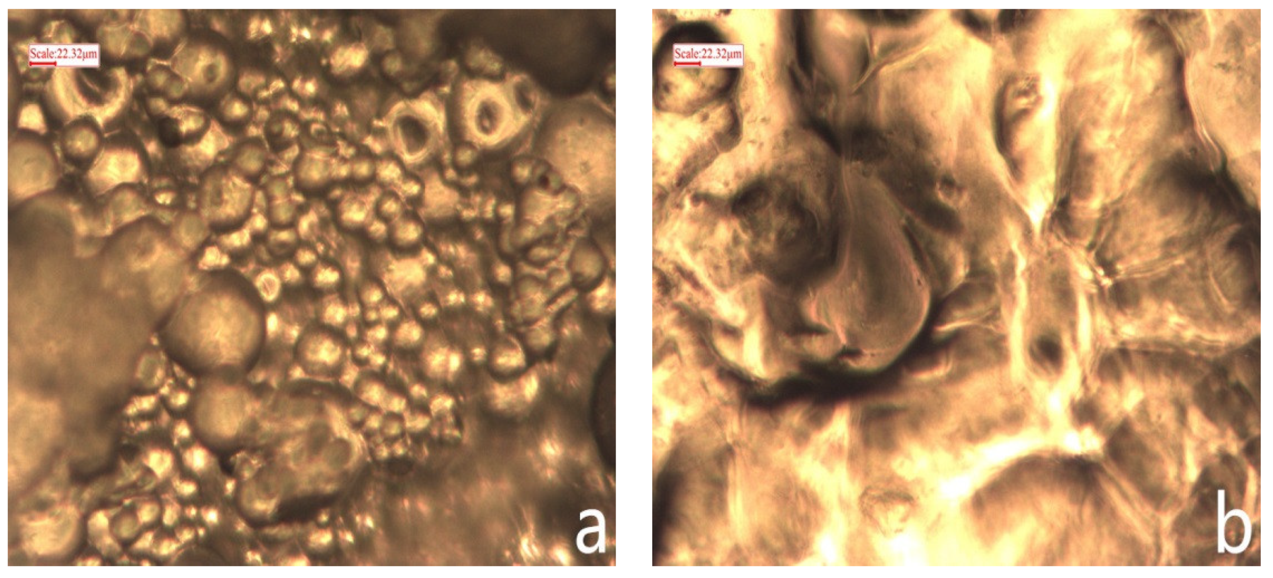 Materials 11 02020 g009