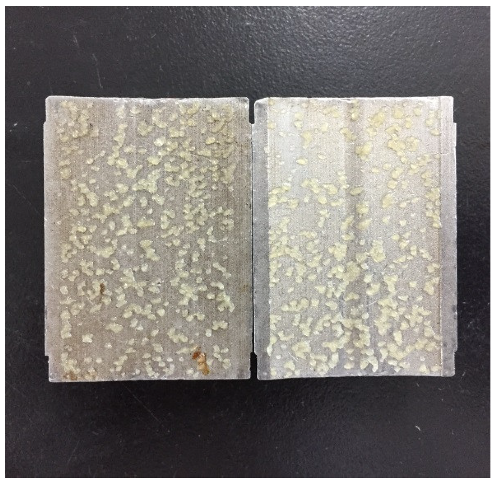 Materials 11 02020 g015