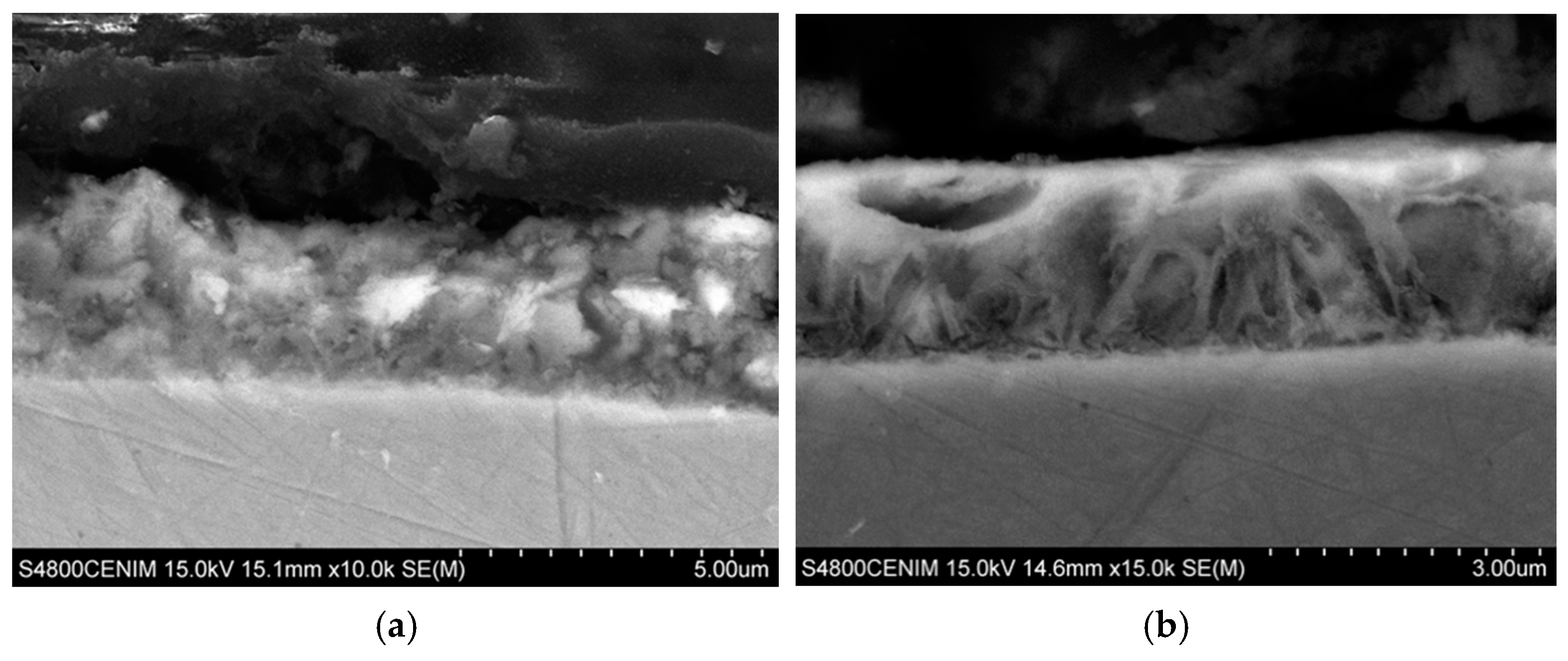Materials 11 02035 g006
