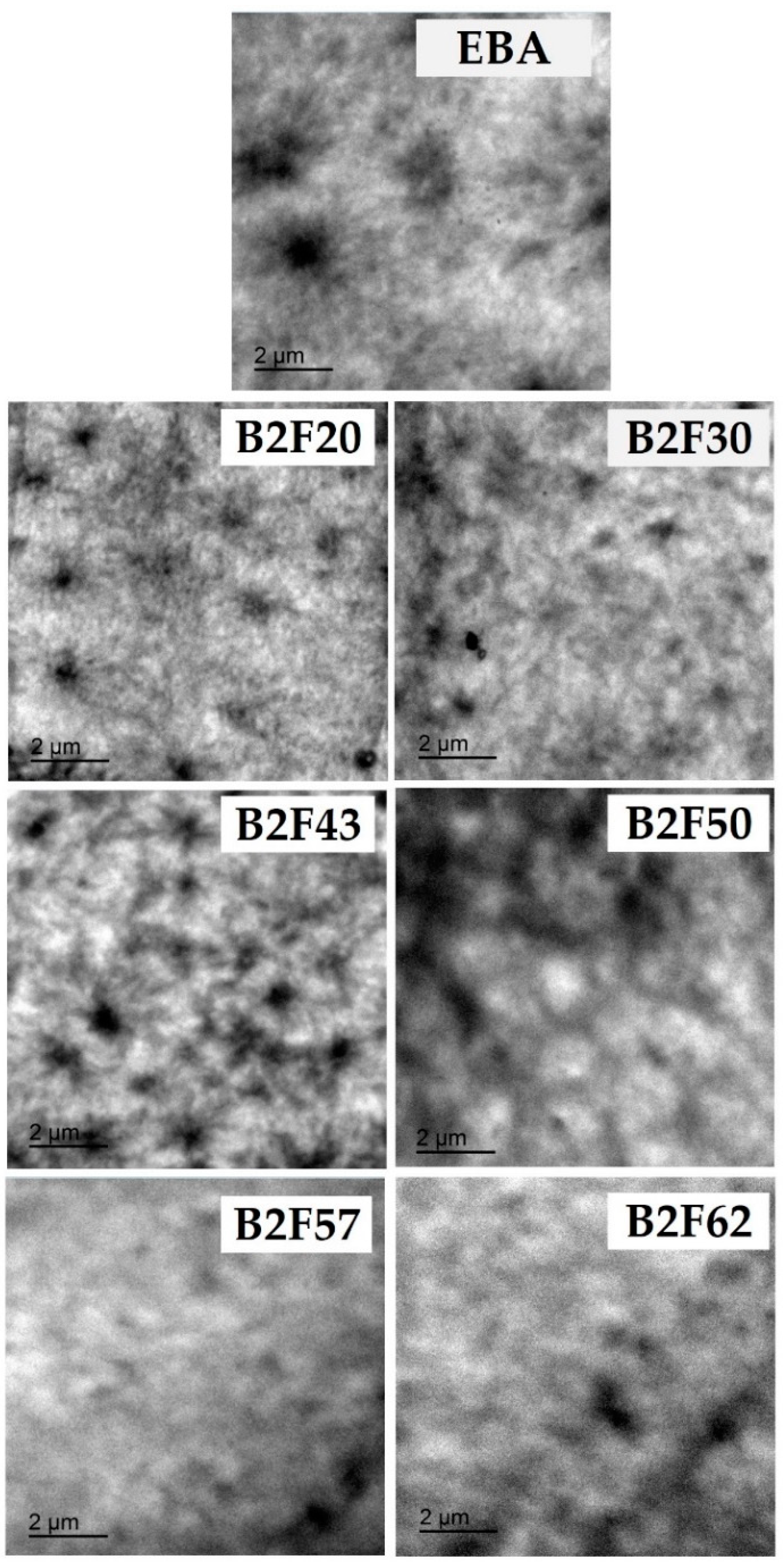 Materials 11 02037 g008 Materials 11 02037 g008