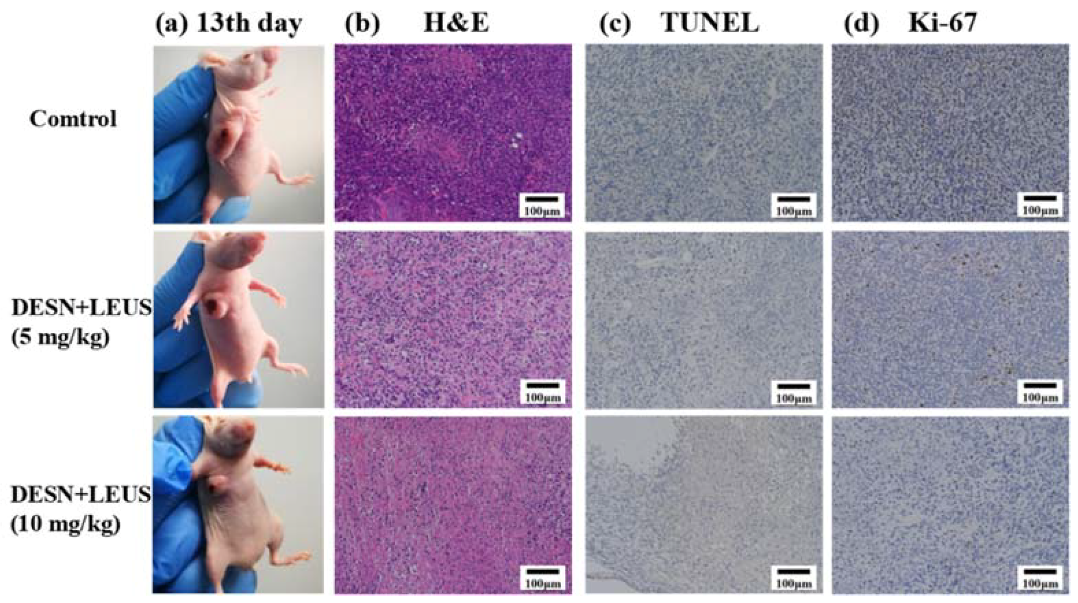 Materials 11 02041 g009
