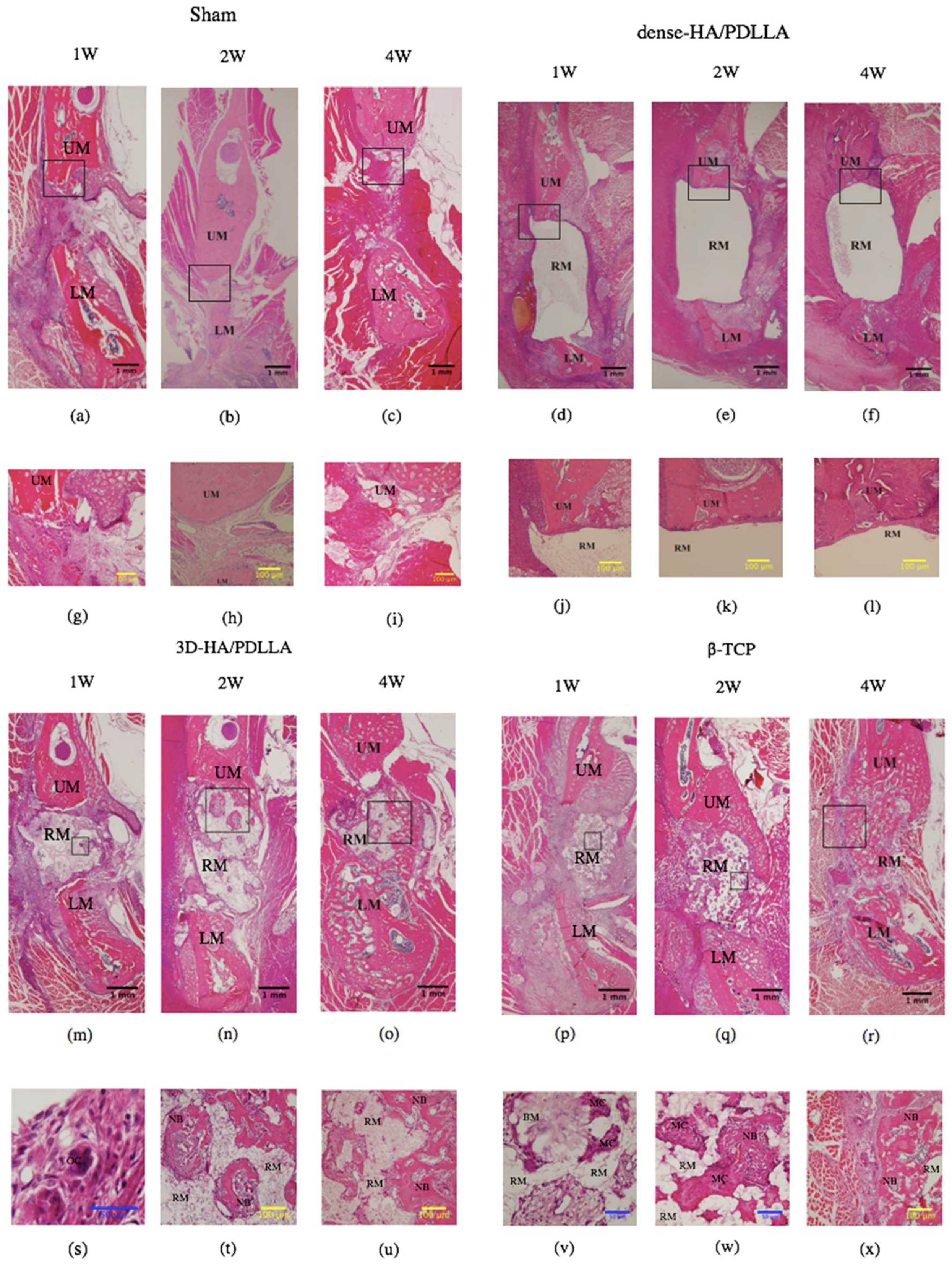 Materials 11 02047 g004 Materials 11 02047 g004