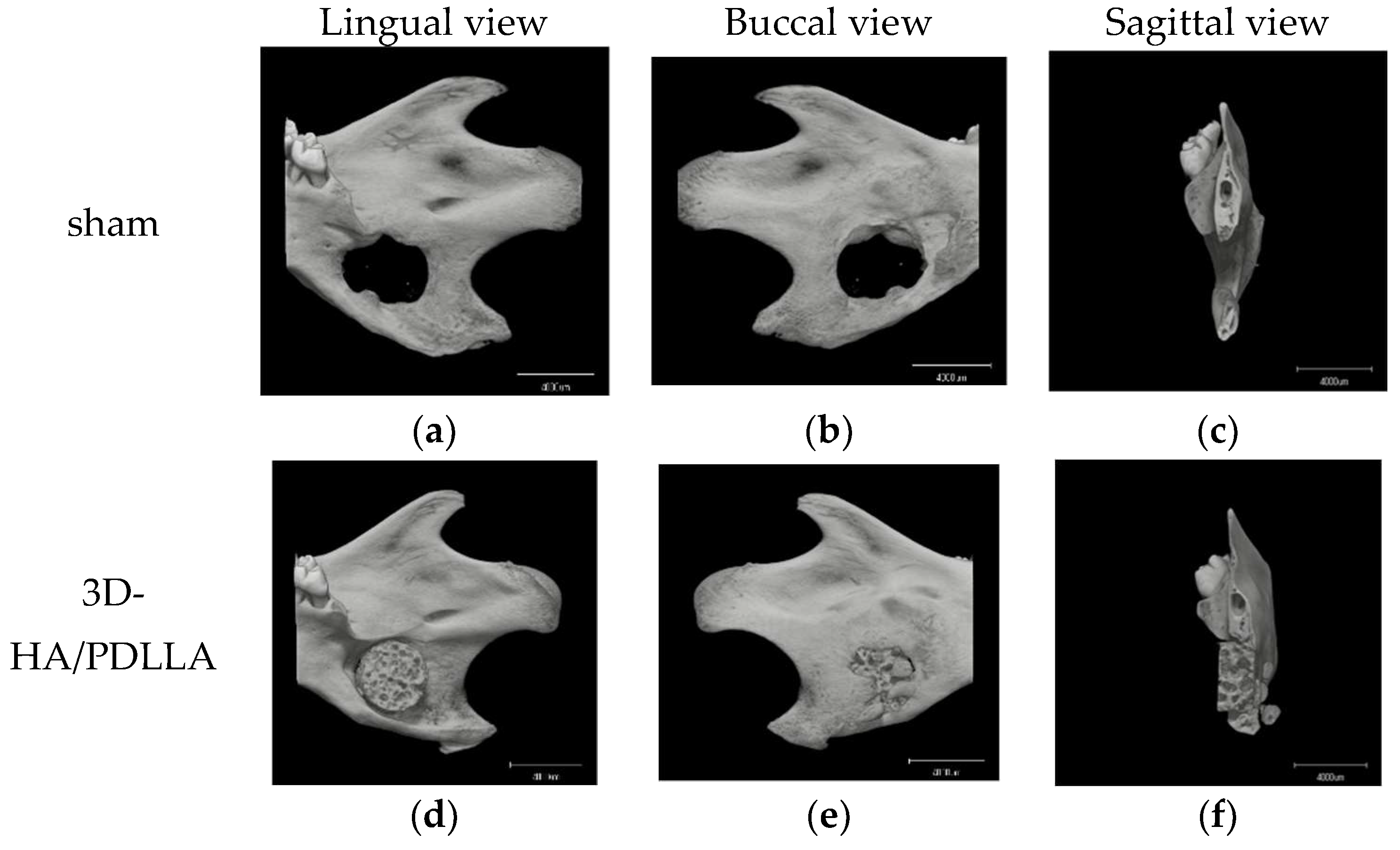 Materials 11 02047 g006a Materials 11 02047 g006a