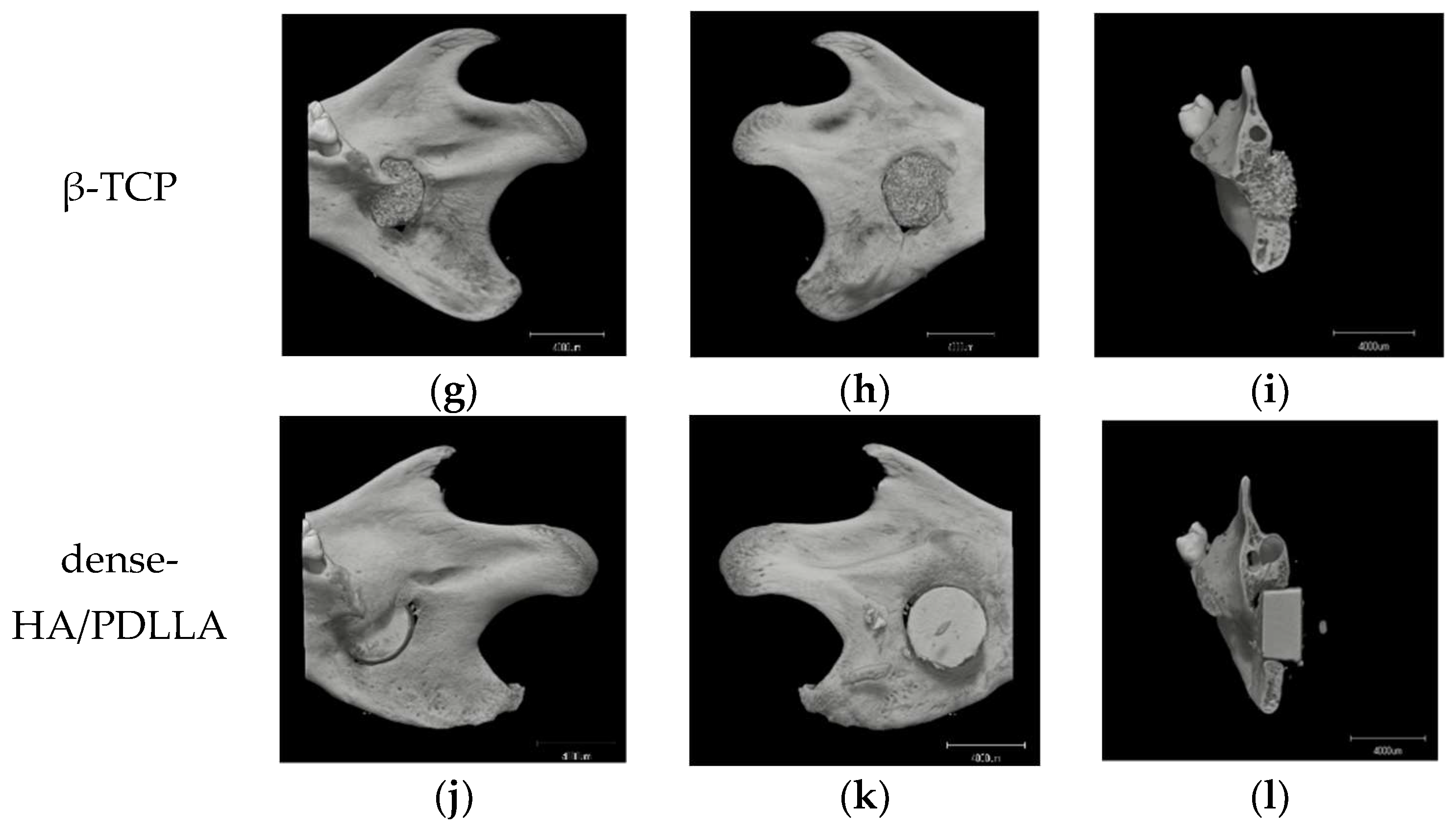 Materials 11 02047 g006b Materials 11 02047 g006b