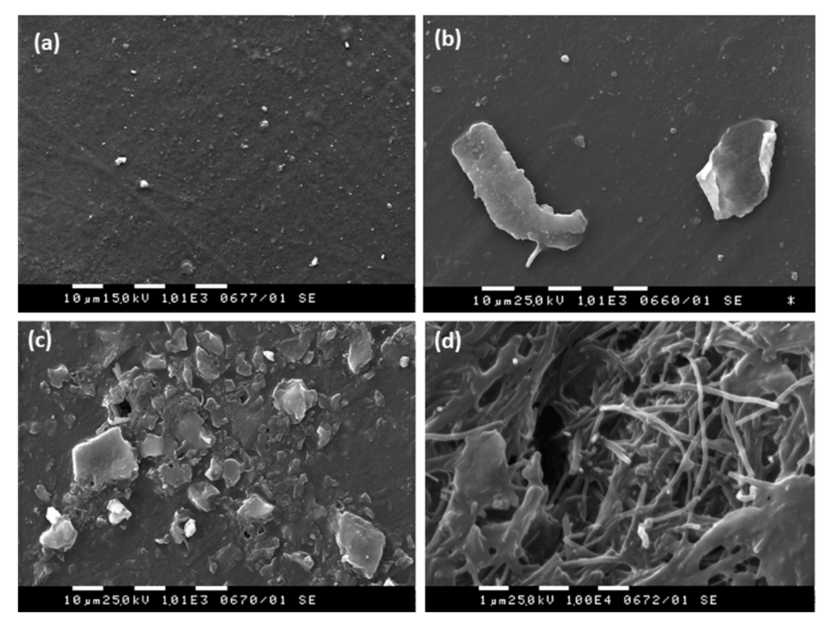 Materials 11 02346 g002 Materials 11 02346 g002