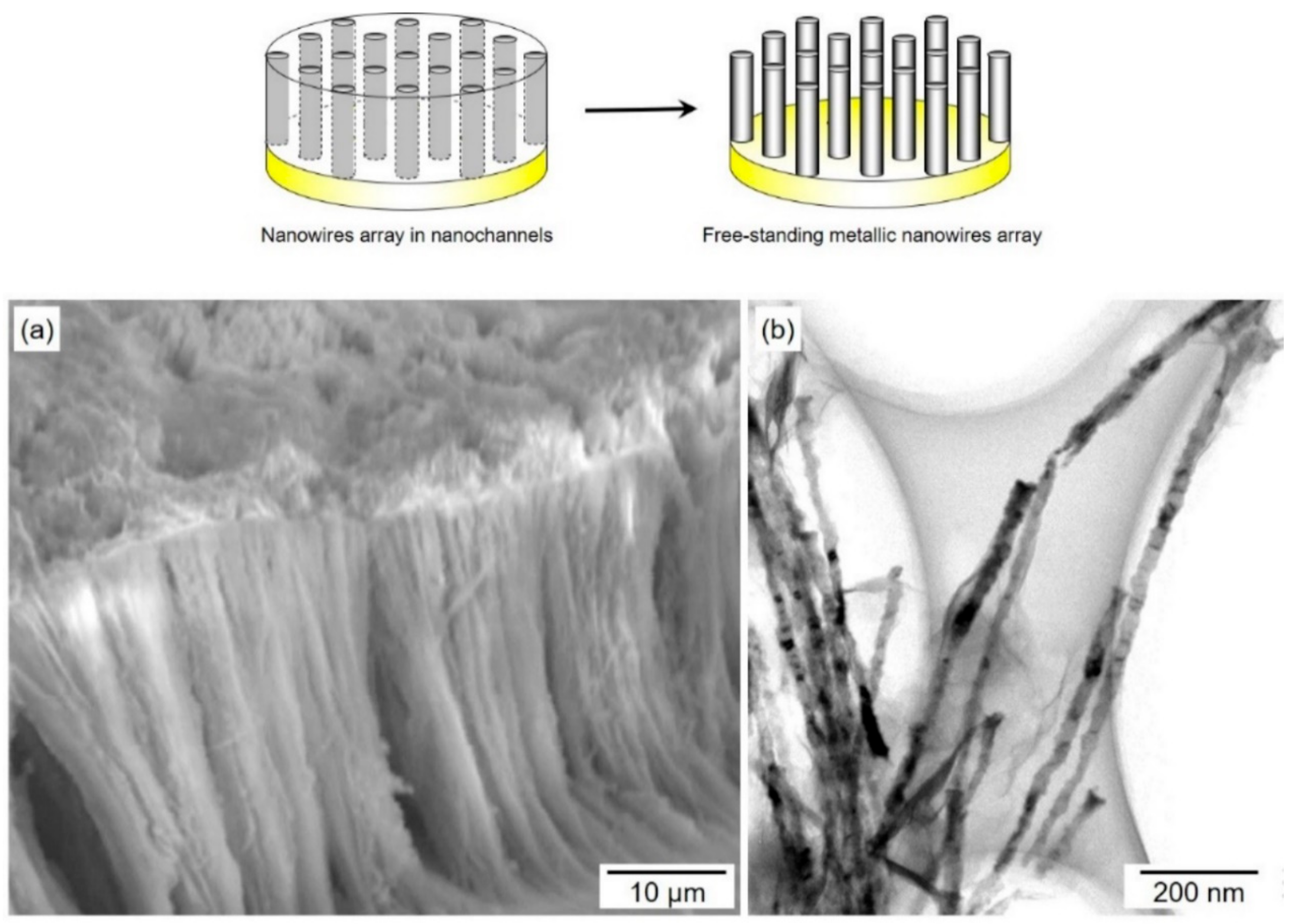 Materials 11 02355 g004 Materials 11 02355 g004