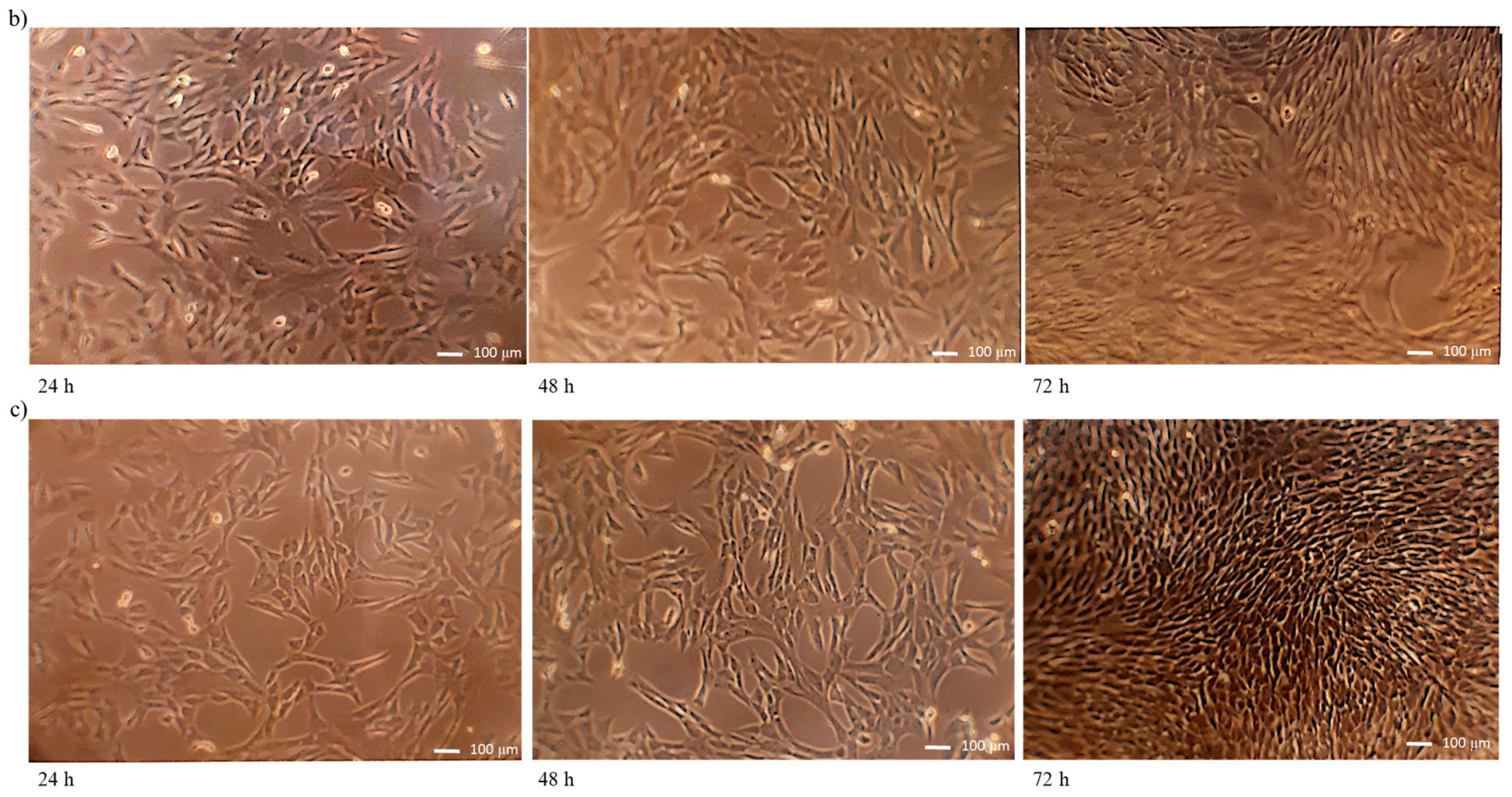 Materials 11 02359 g007b Materials 11 02359 g007b