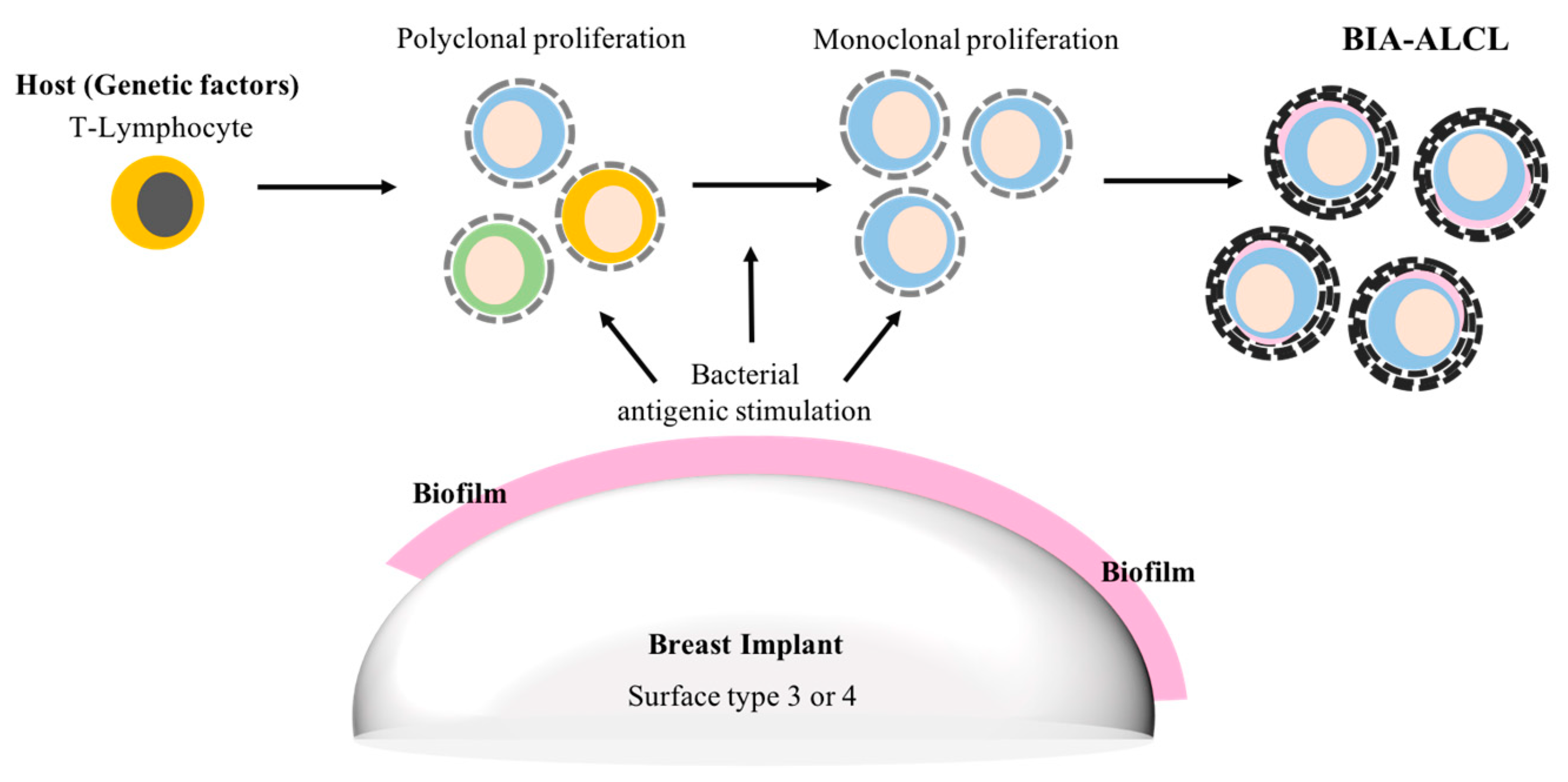 Materials 11 02393 g002