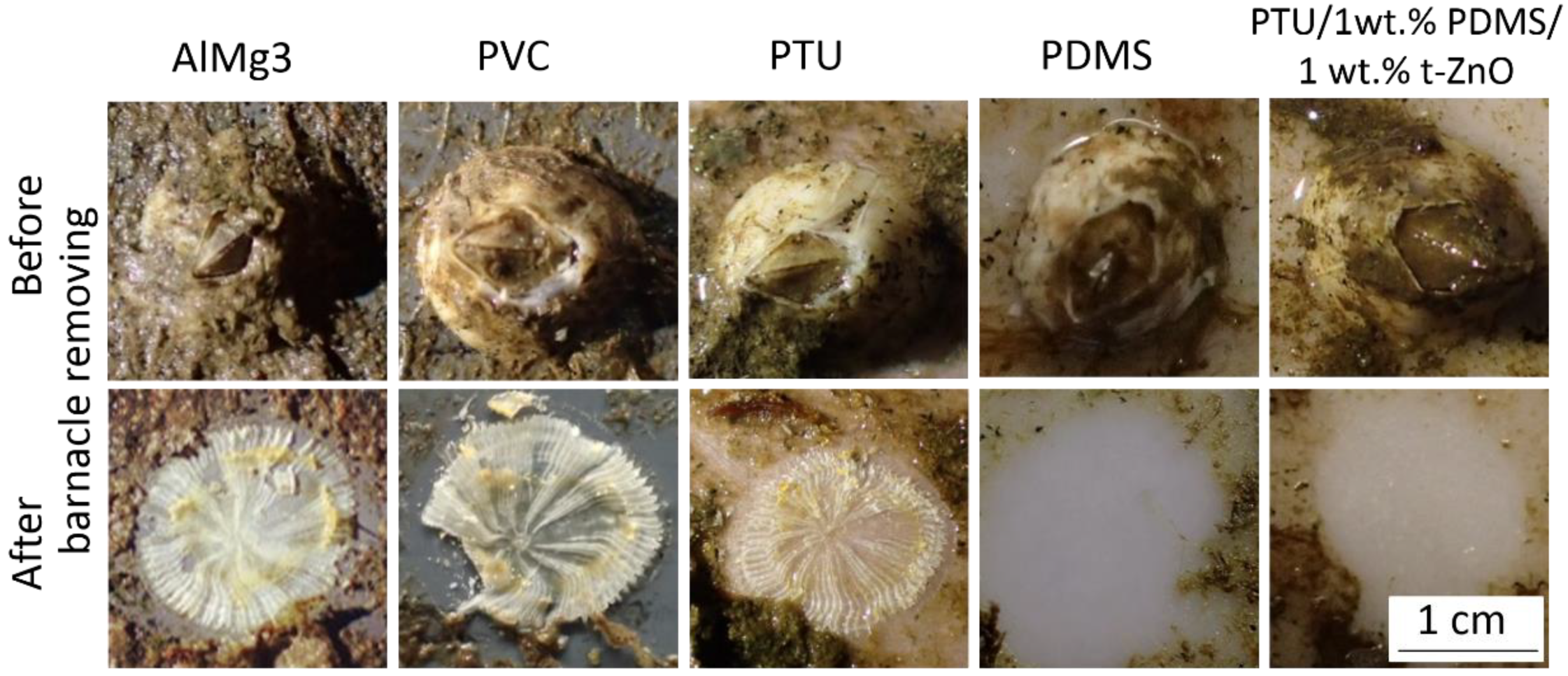 Materials 11 02413 g007