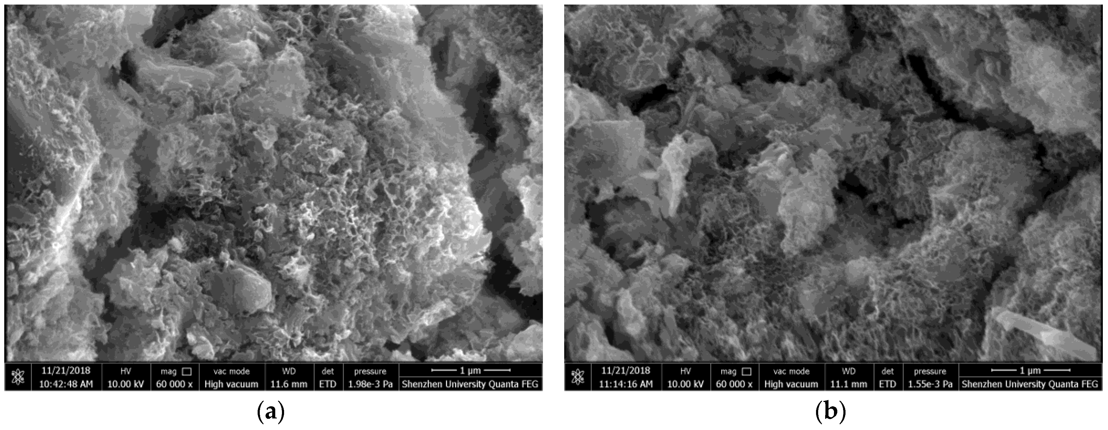 Materials 11 02415 g013