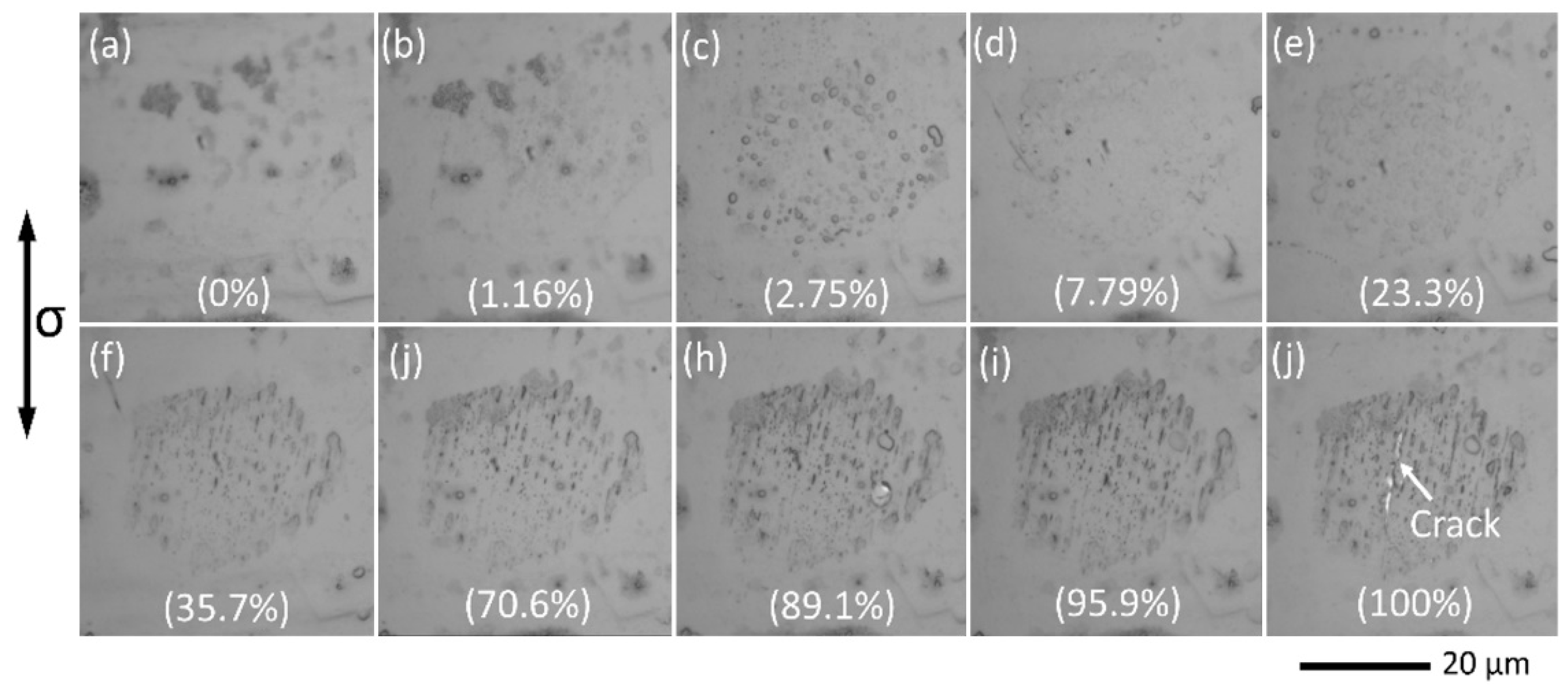 Materials 11 02429 g004