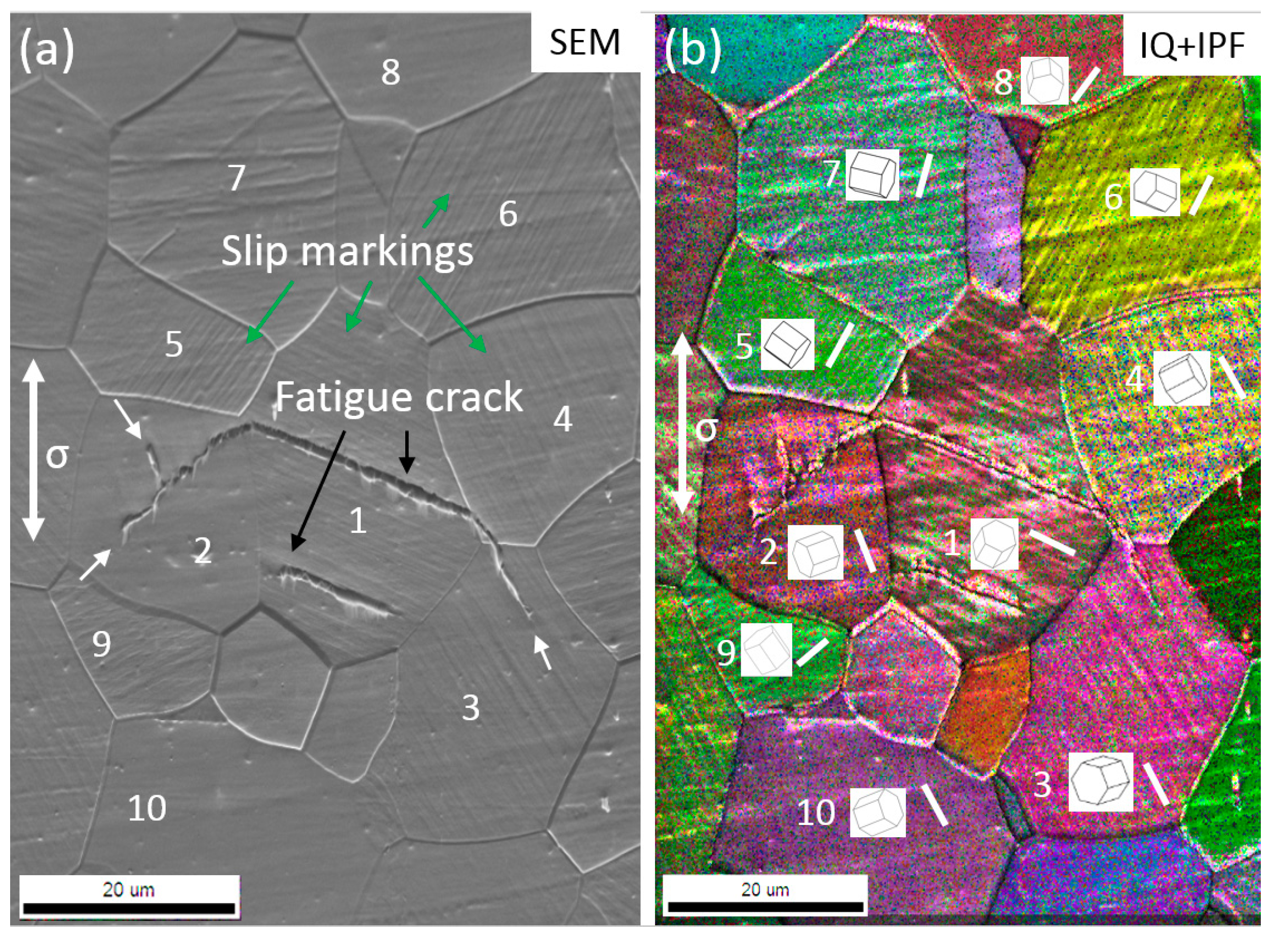 Materials 11 02429 g005