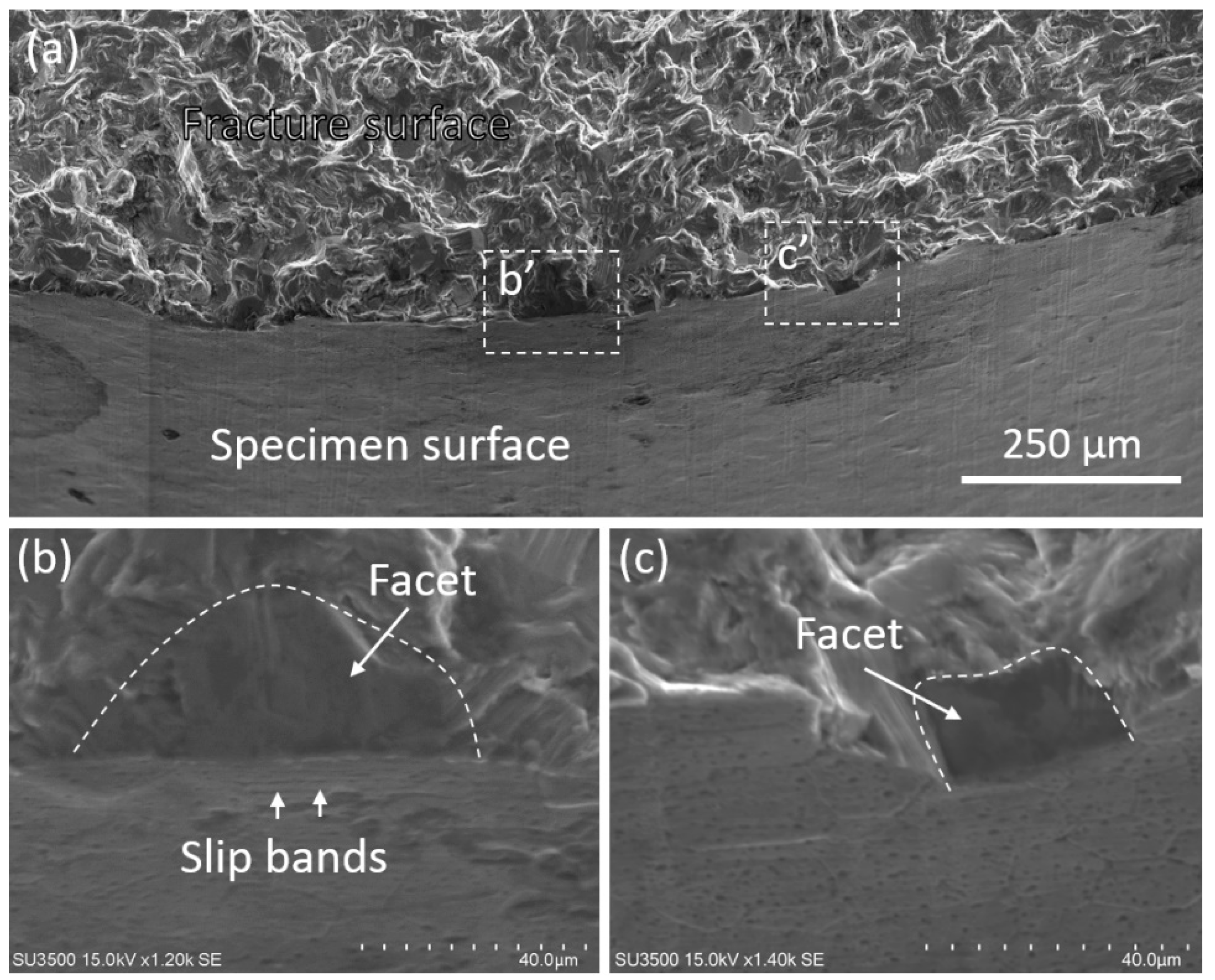 Materials 11 02429 g007