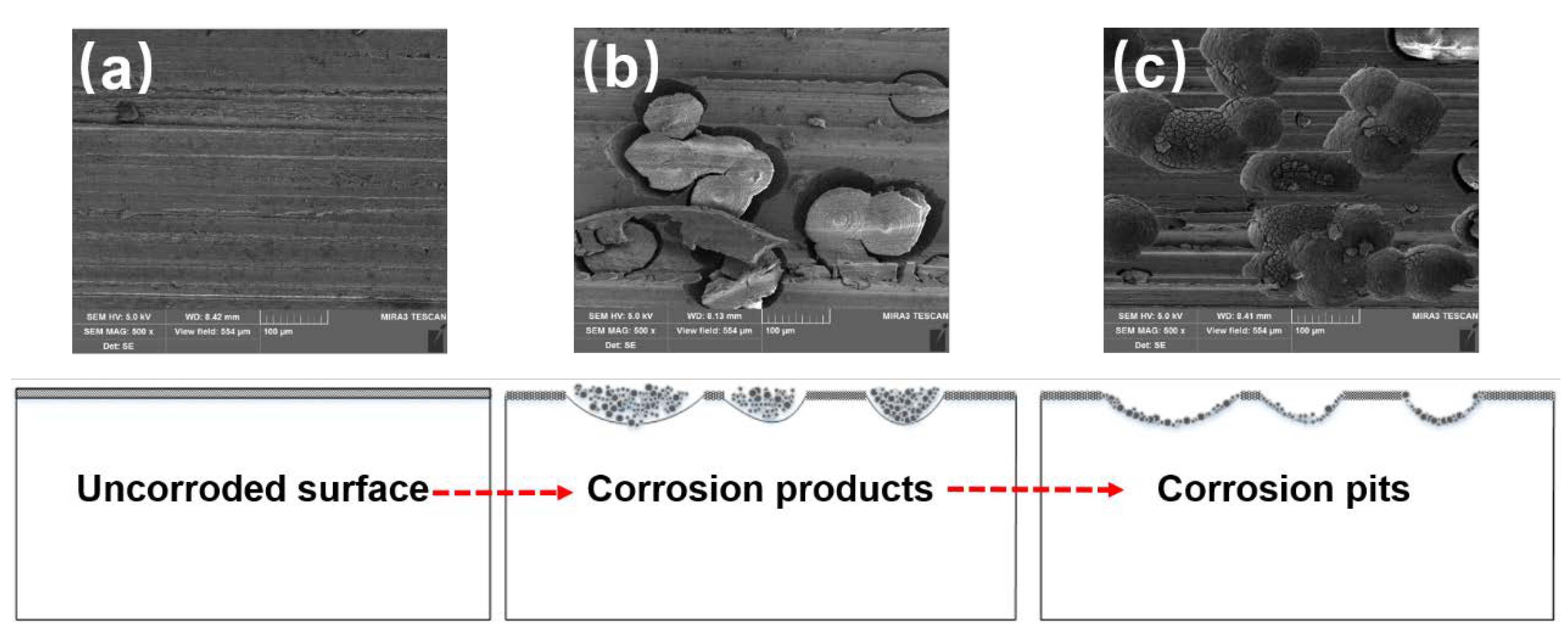 Materials 11 02440 g011