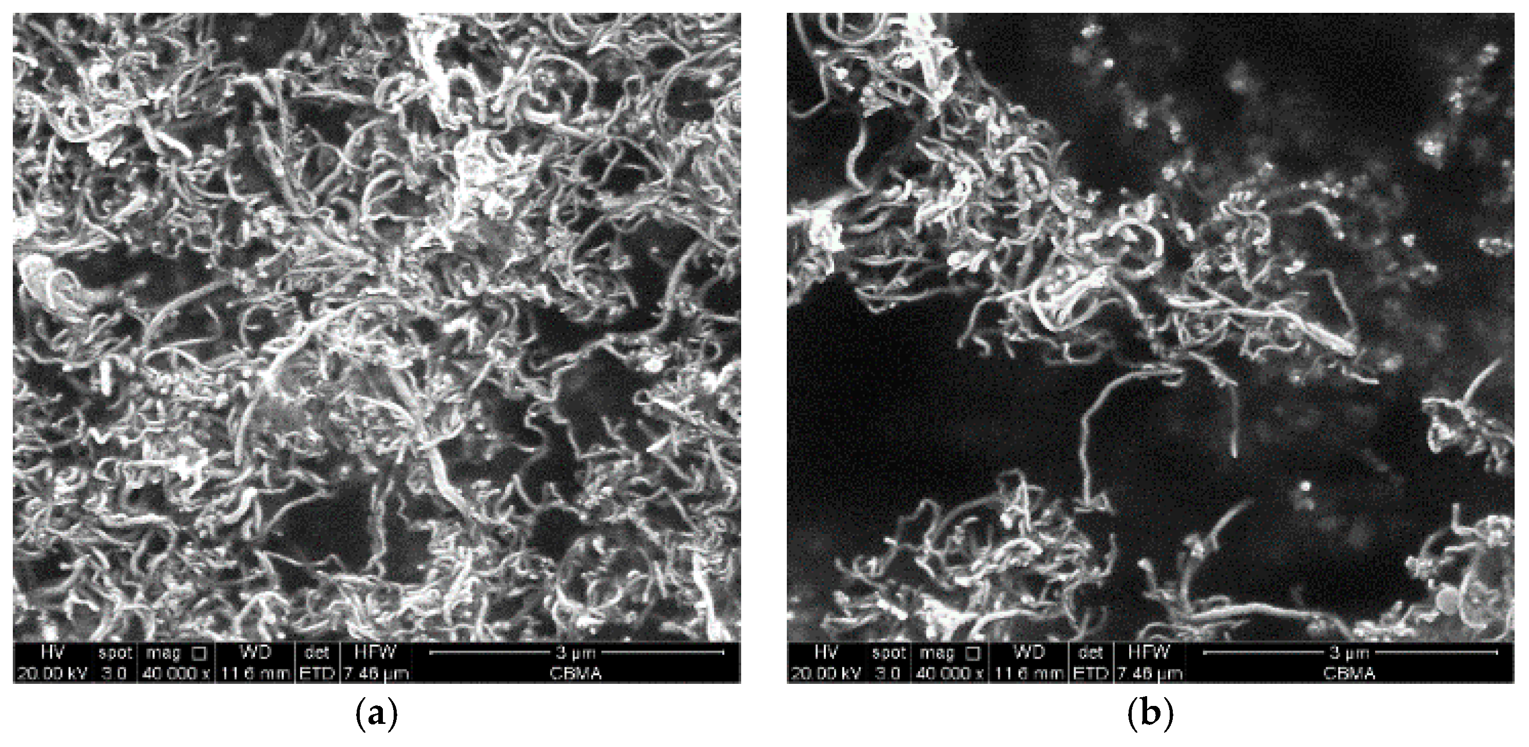 Materials 11 02442 g009