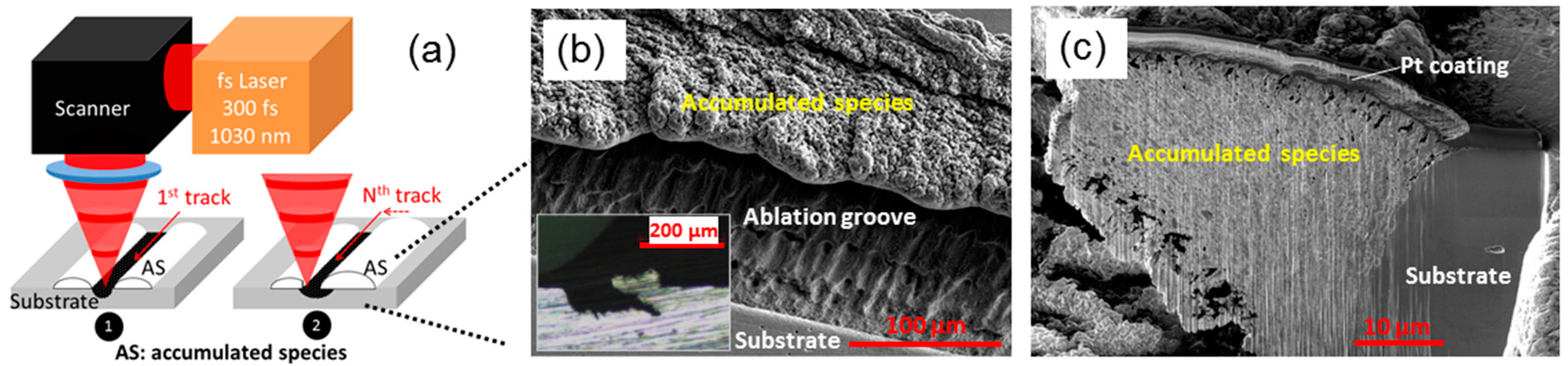 Materials 11 02456 g001 Materials 11 02456 g001