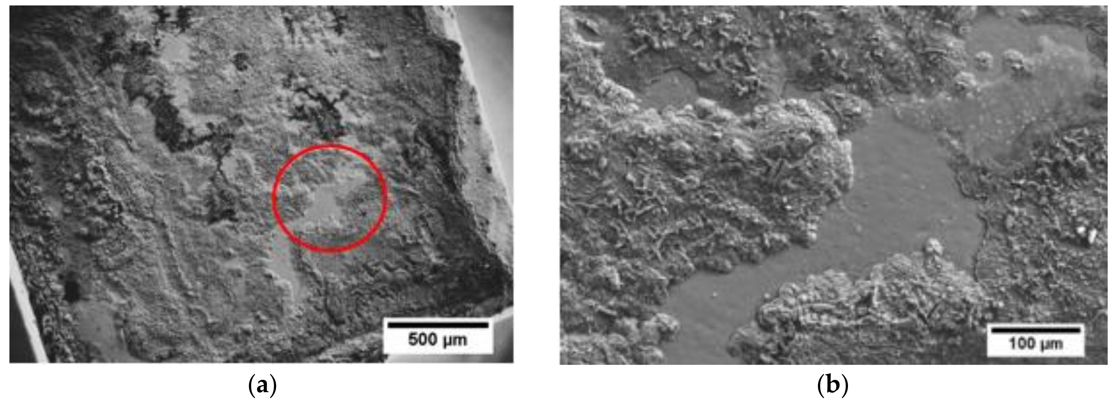 Materials 11 02483 g006a Materials 11 02483 g006a