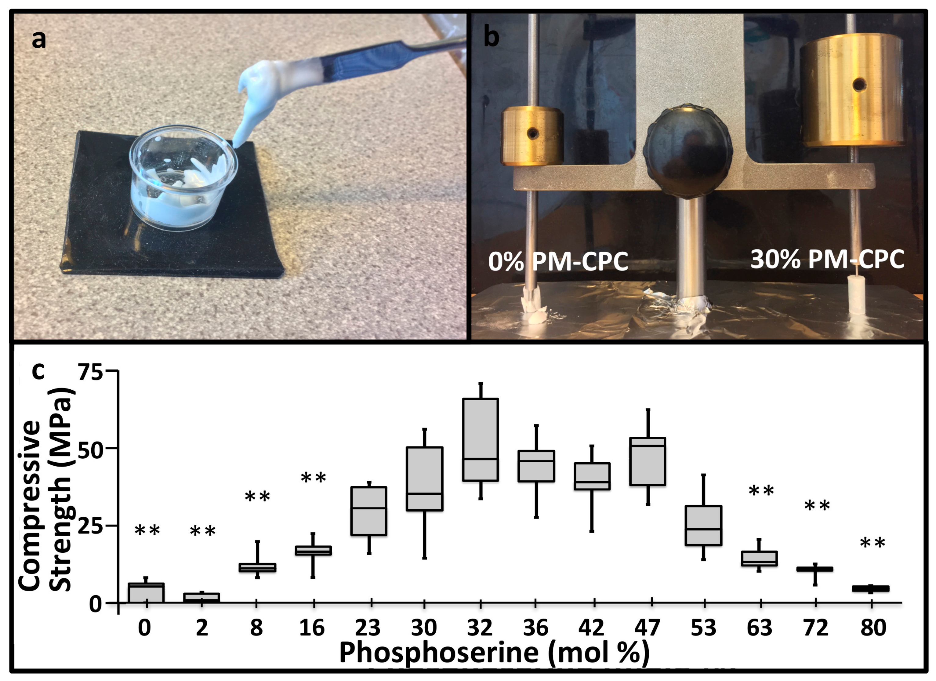 Materials 11 02492 g001