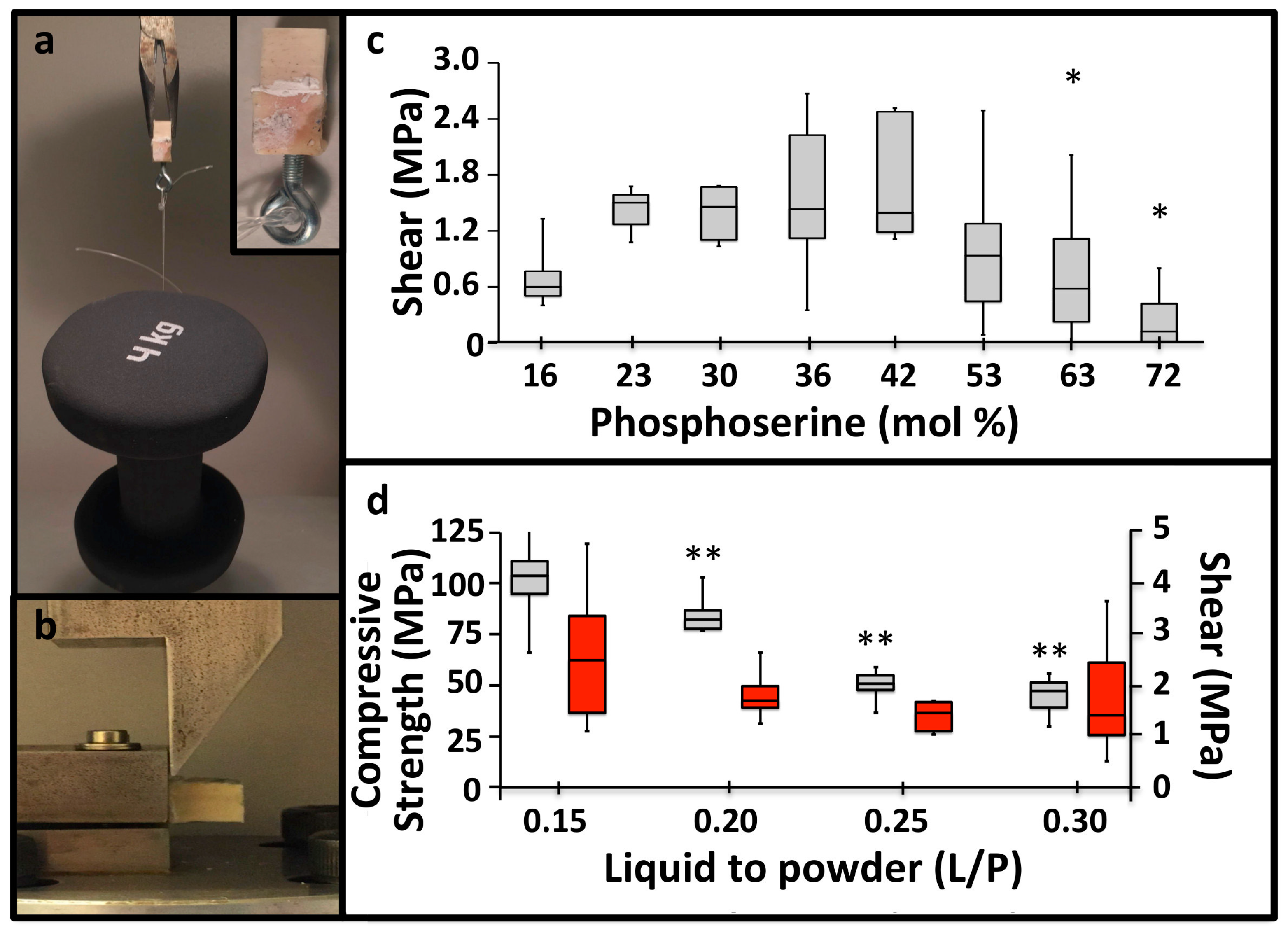 Materials 11 02492 g002