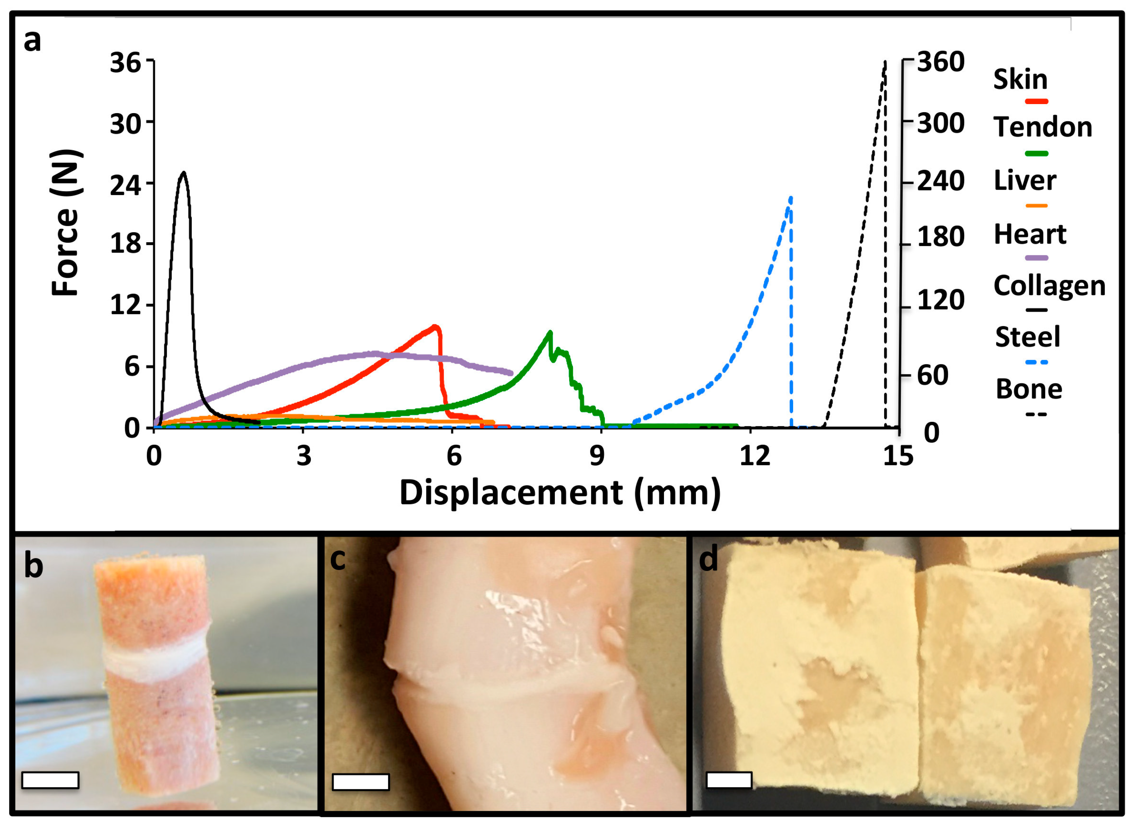 Materials 11 02492 g003