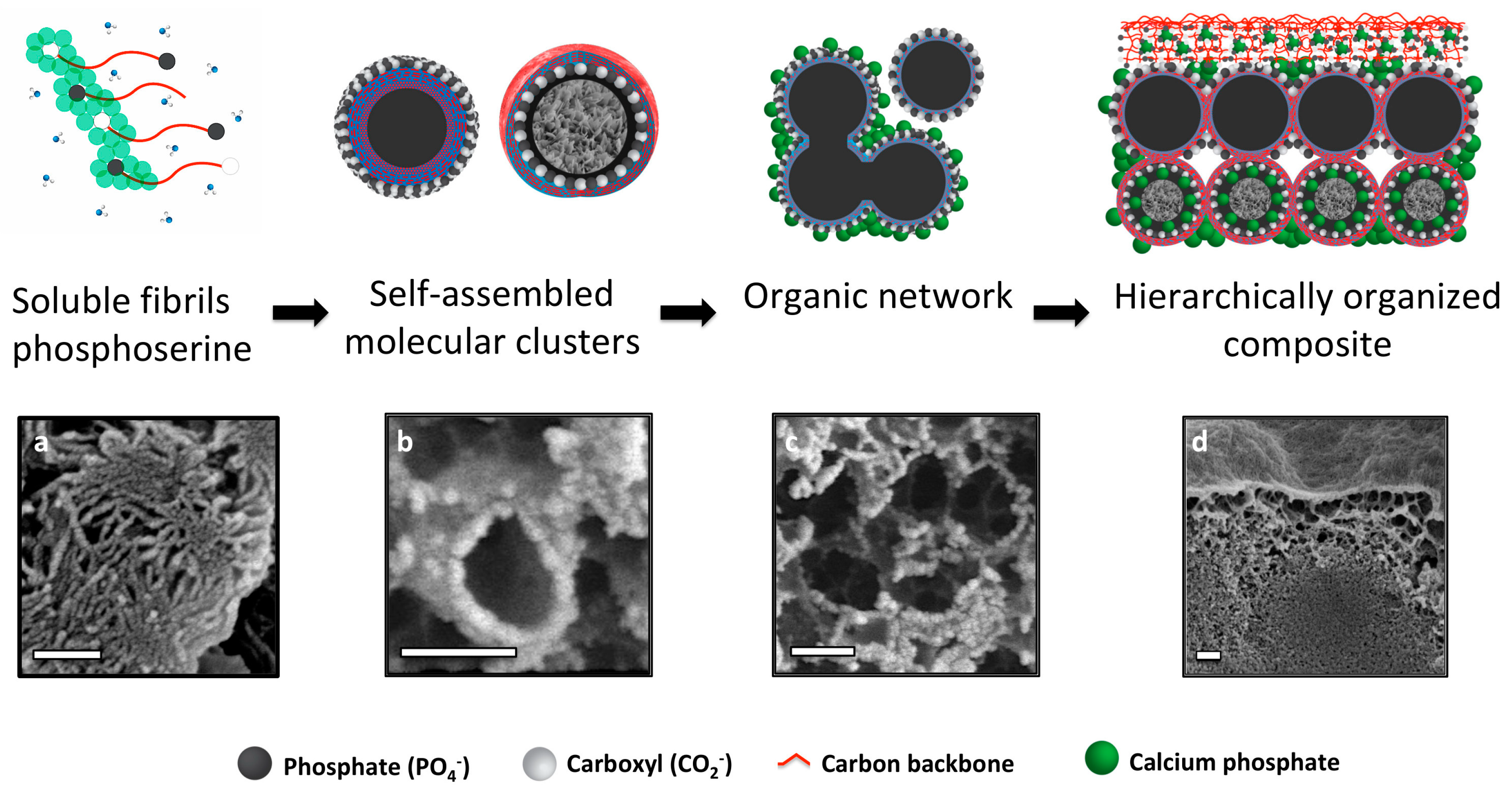 Materials 11 02492 g008