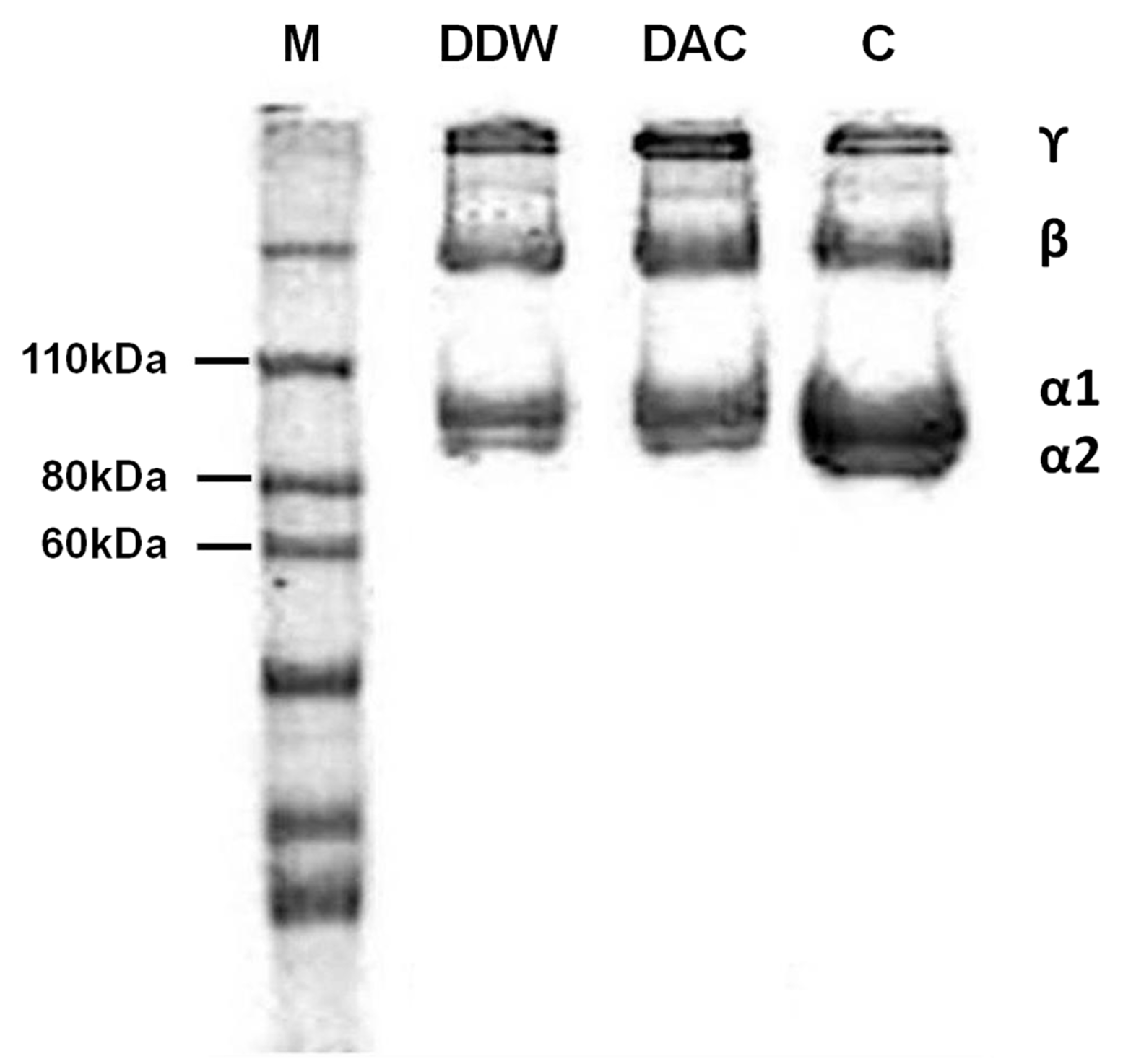 Materials 11 02518 g001