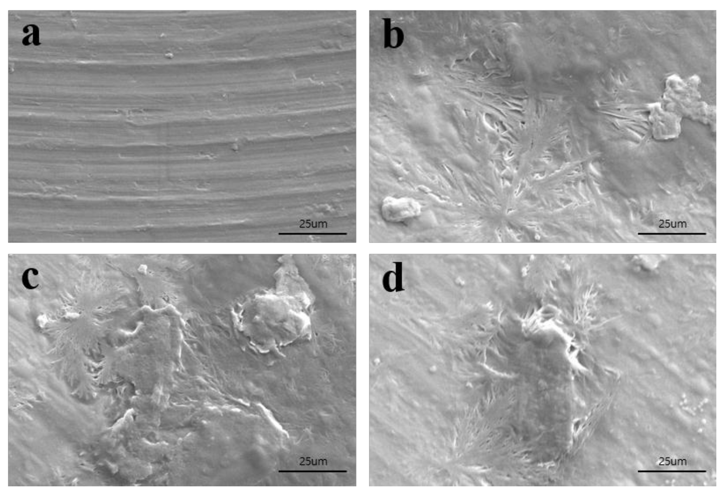 Materials 11 02520 g001