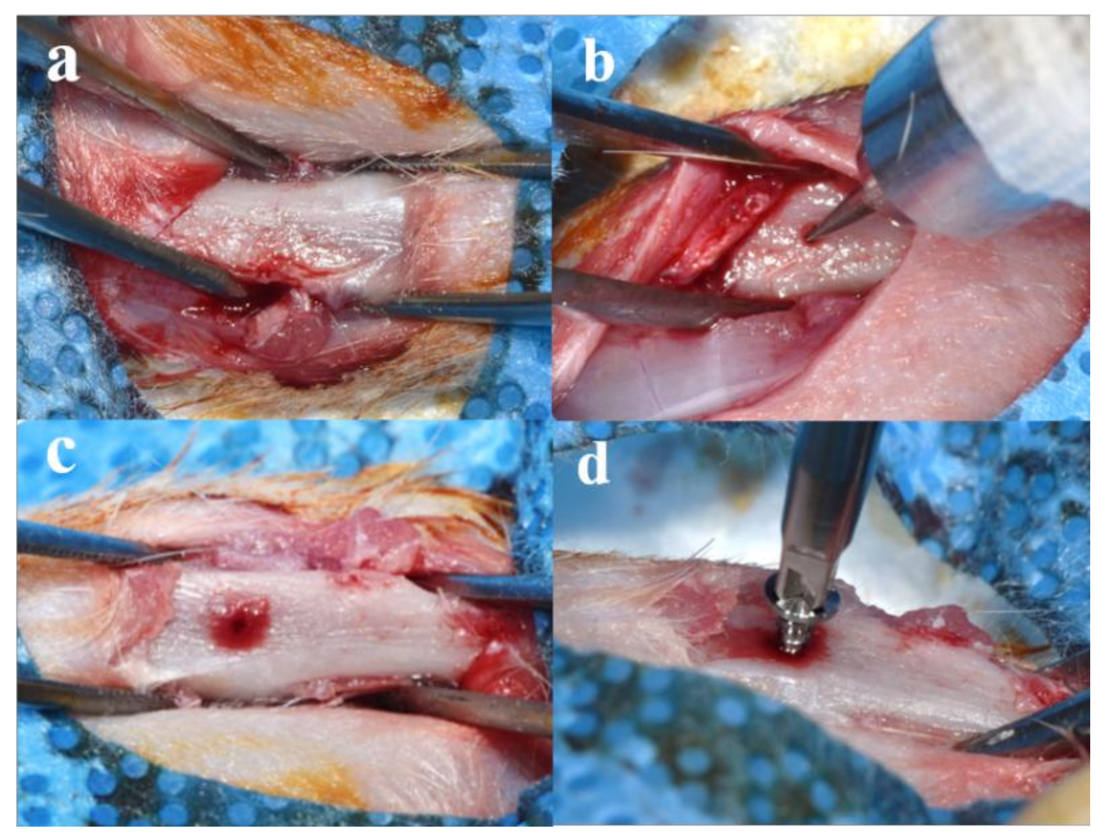 Materials 11 02520 g009