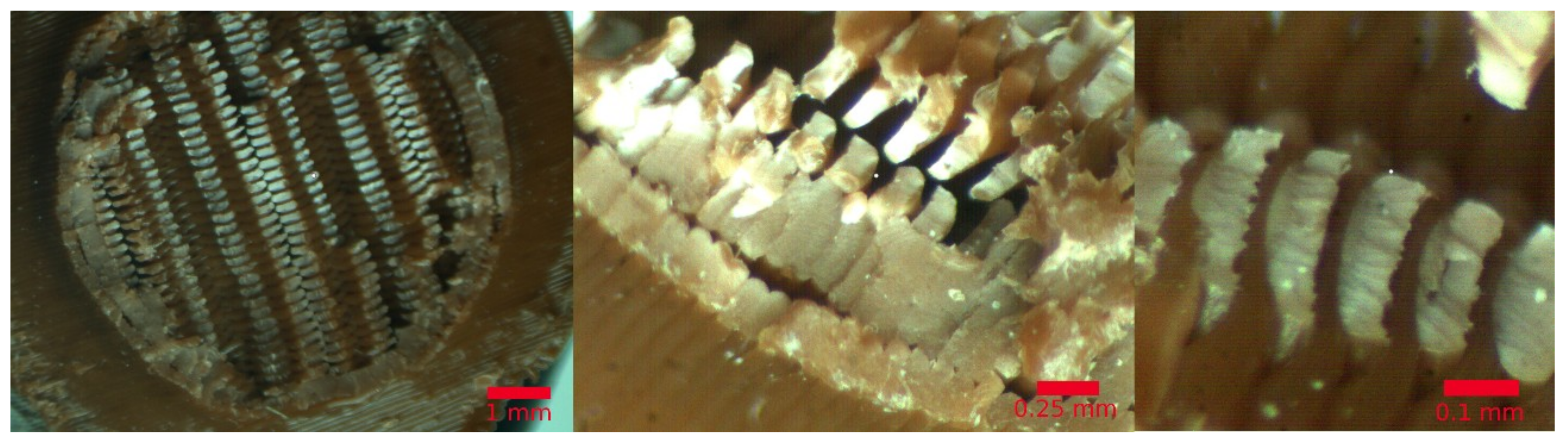 Materials 11 02521 g005 Materials 11 02521 g005