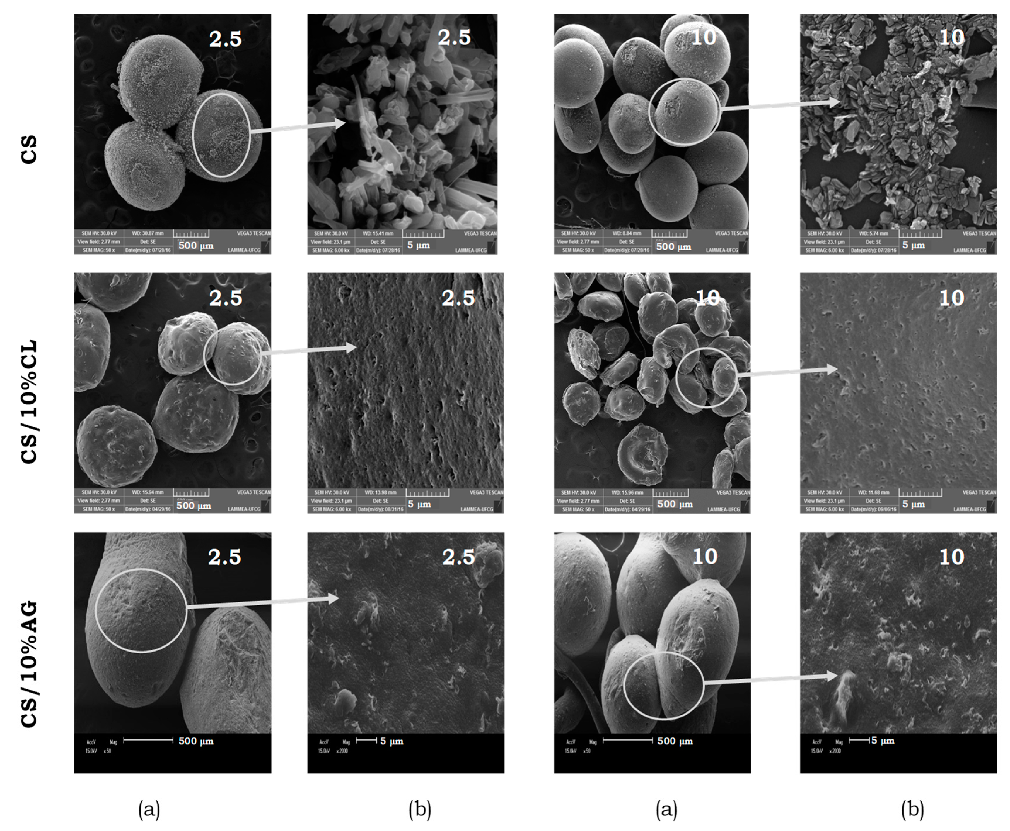 Materials 11 02523 g003