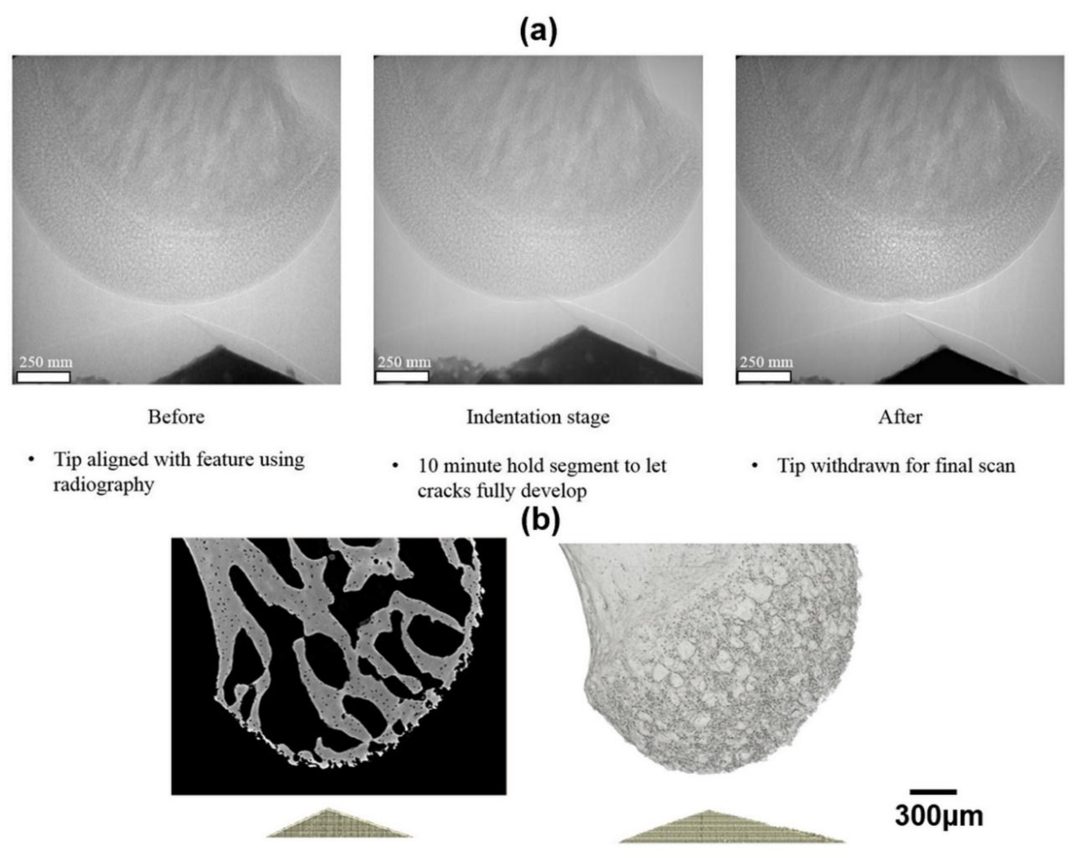 Materials 11 02533 g003