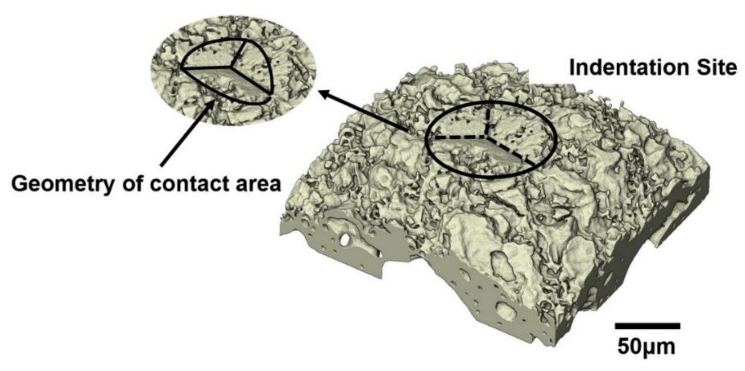 Materials 11 02533 g007