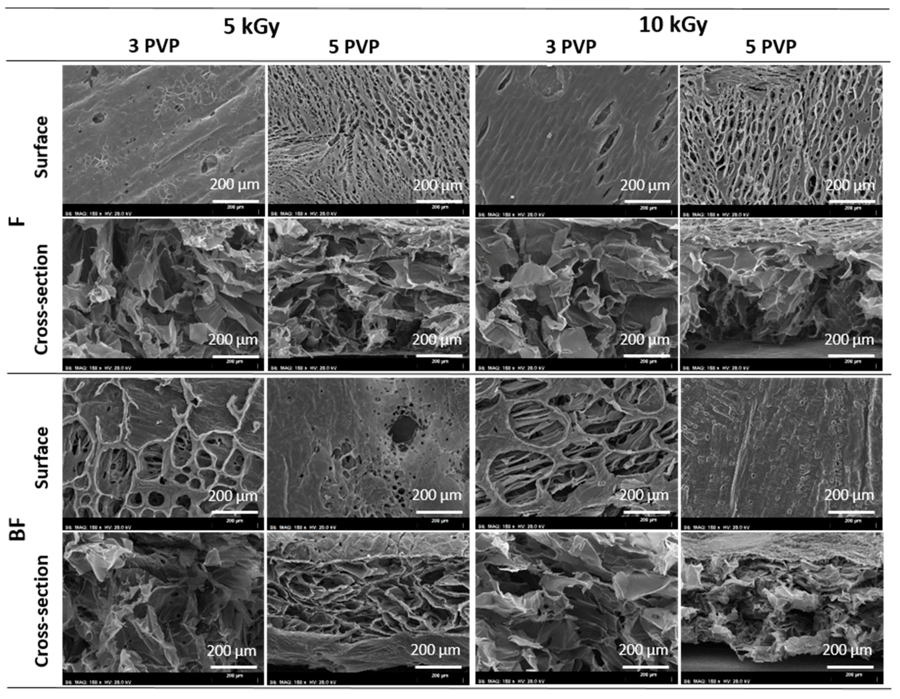 Materials 11 02535 g002