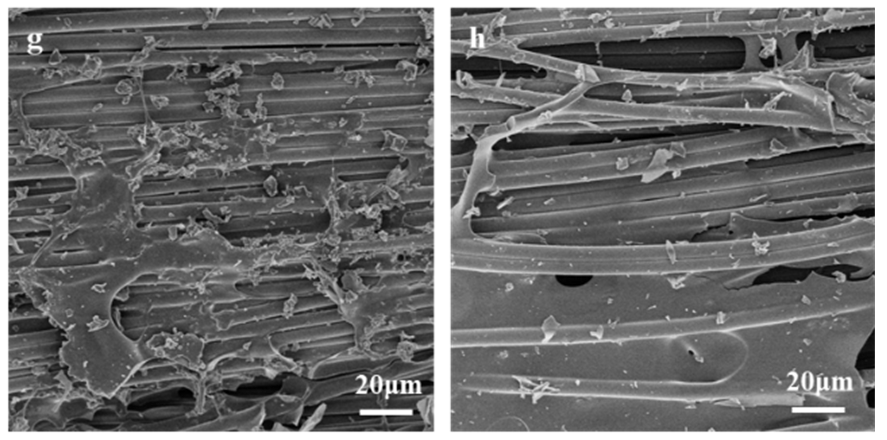 Materials 11 02554 g008b