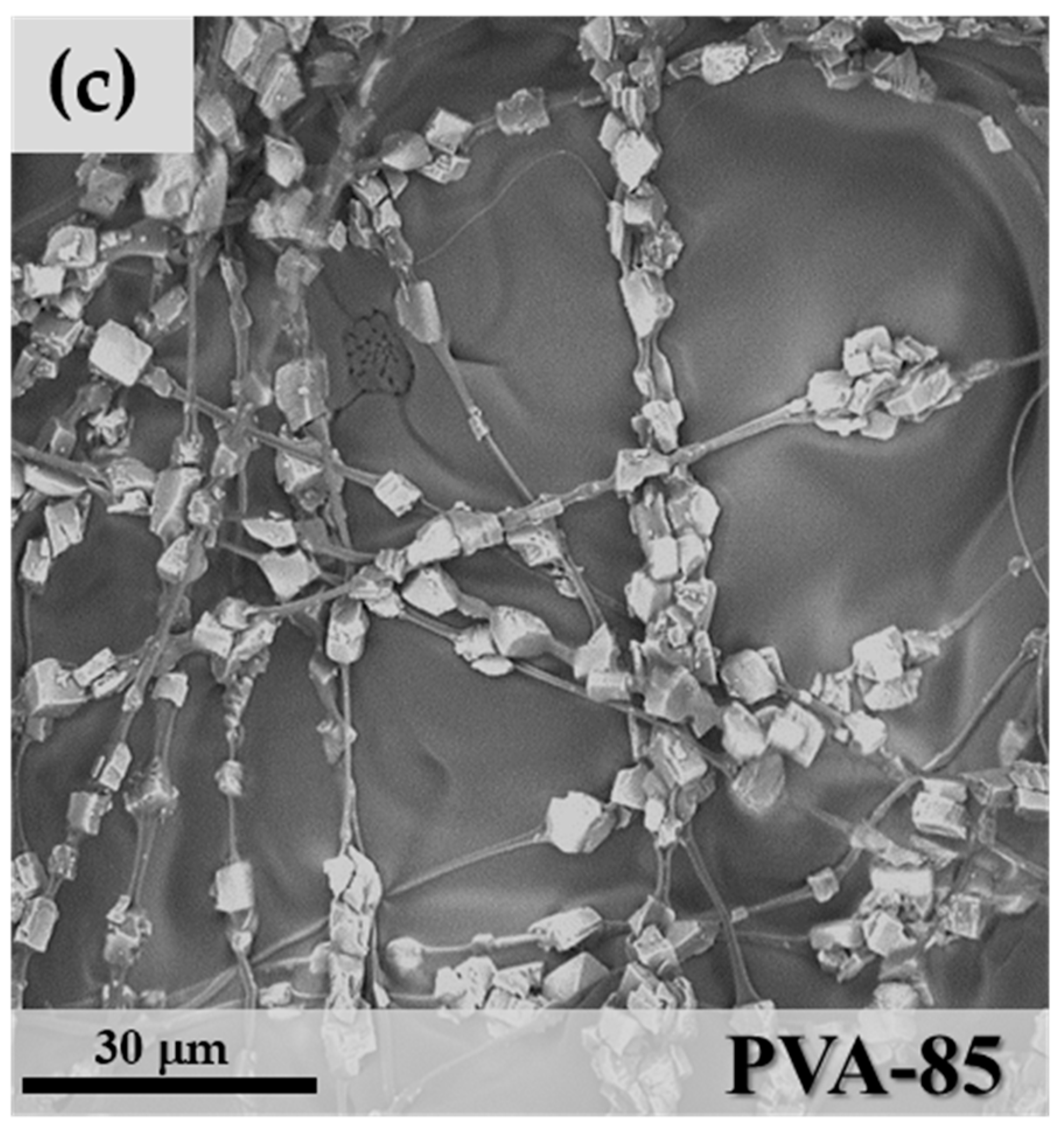 Materials 11 02555 g007b Materials 11 02555 g007b